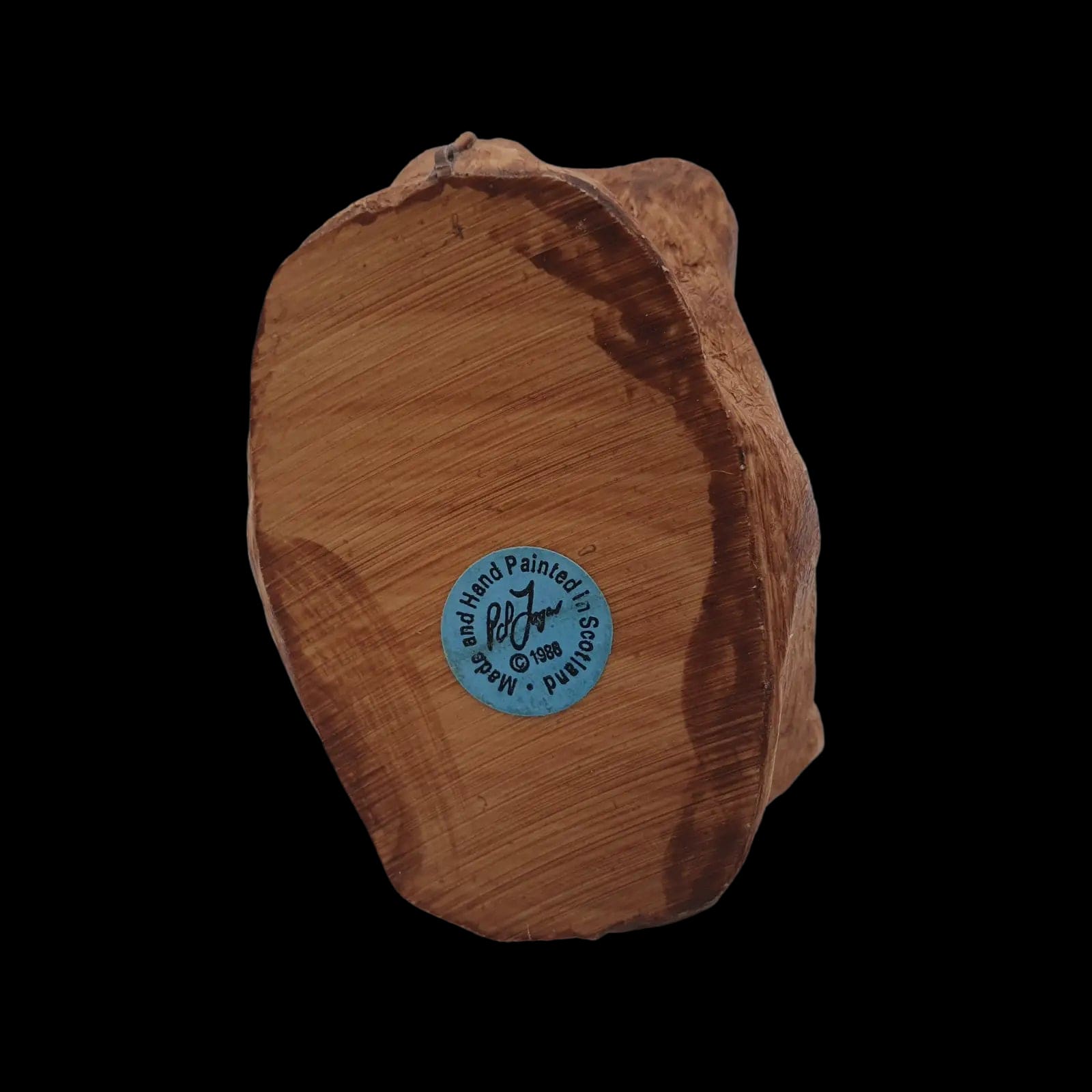 Colour Box Cats Home Sweet Collection Peter Fagan Gladstone