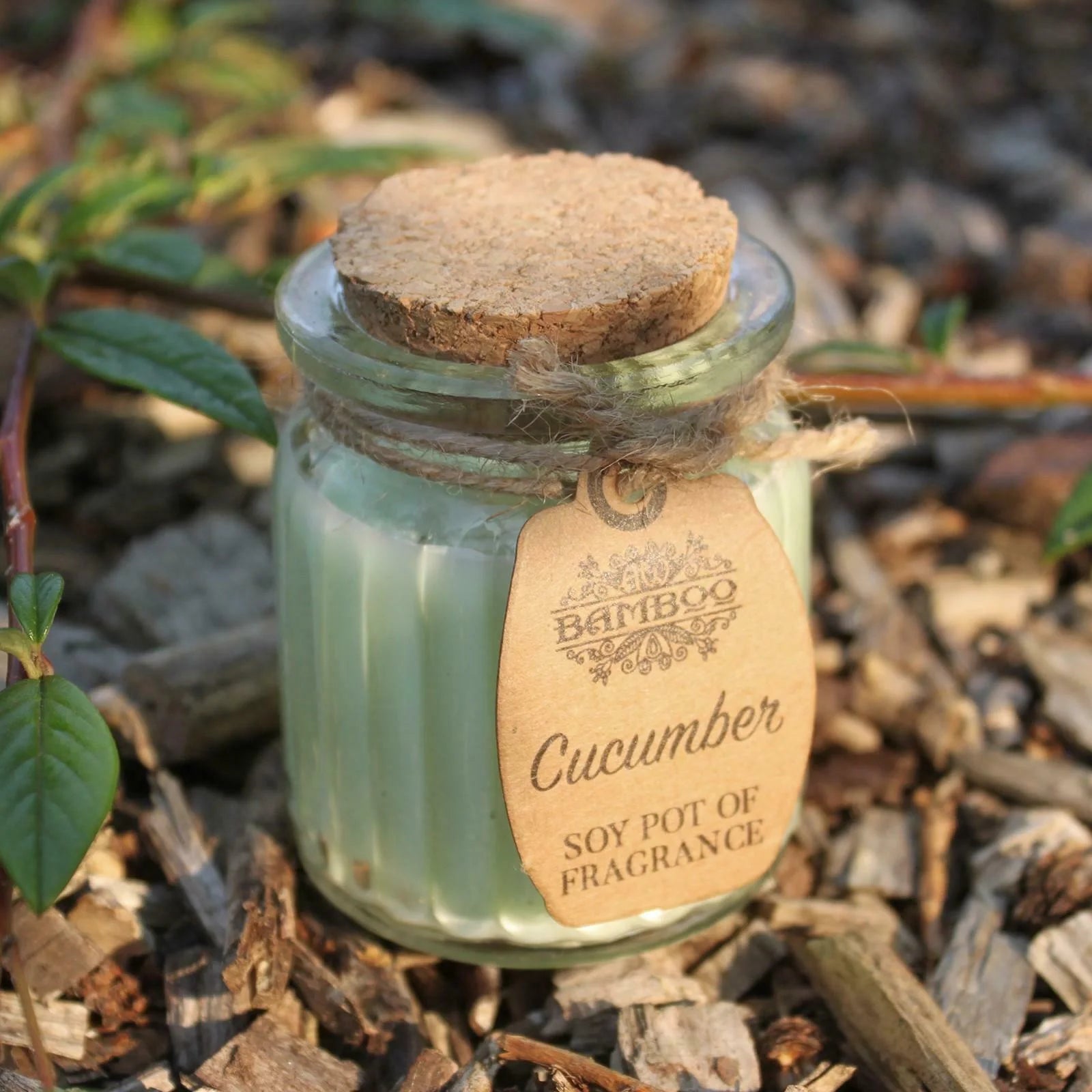 Cucumber Soy Pot Of Fragrance Candles - Ancient Wisdom - 2