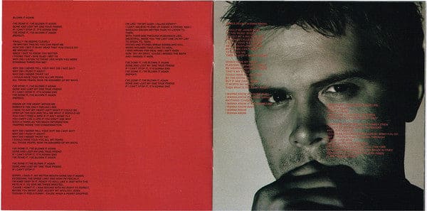 Daniel Bedingfield - Gotta Get Thru This (cd Album