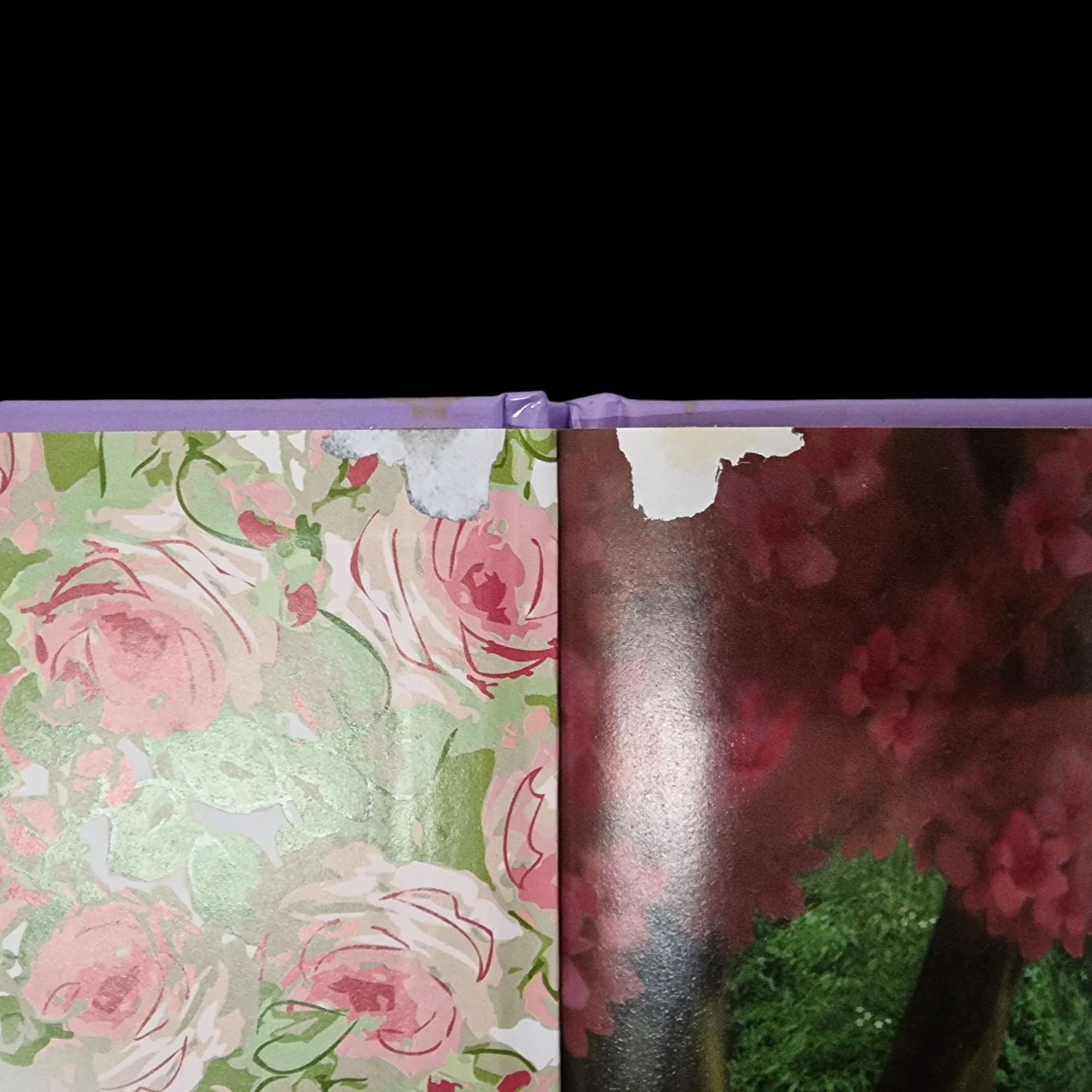 Disney Childrens Books Bundle 9781472379849 - Parragon - 7