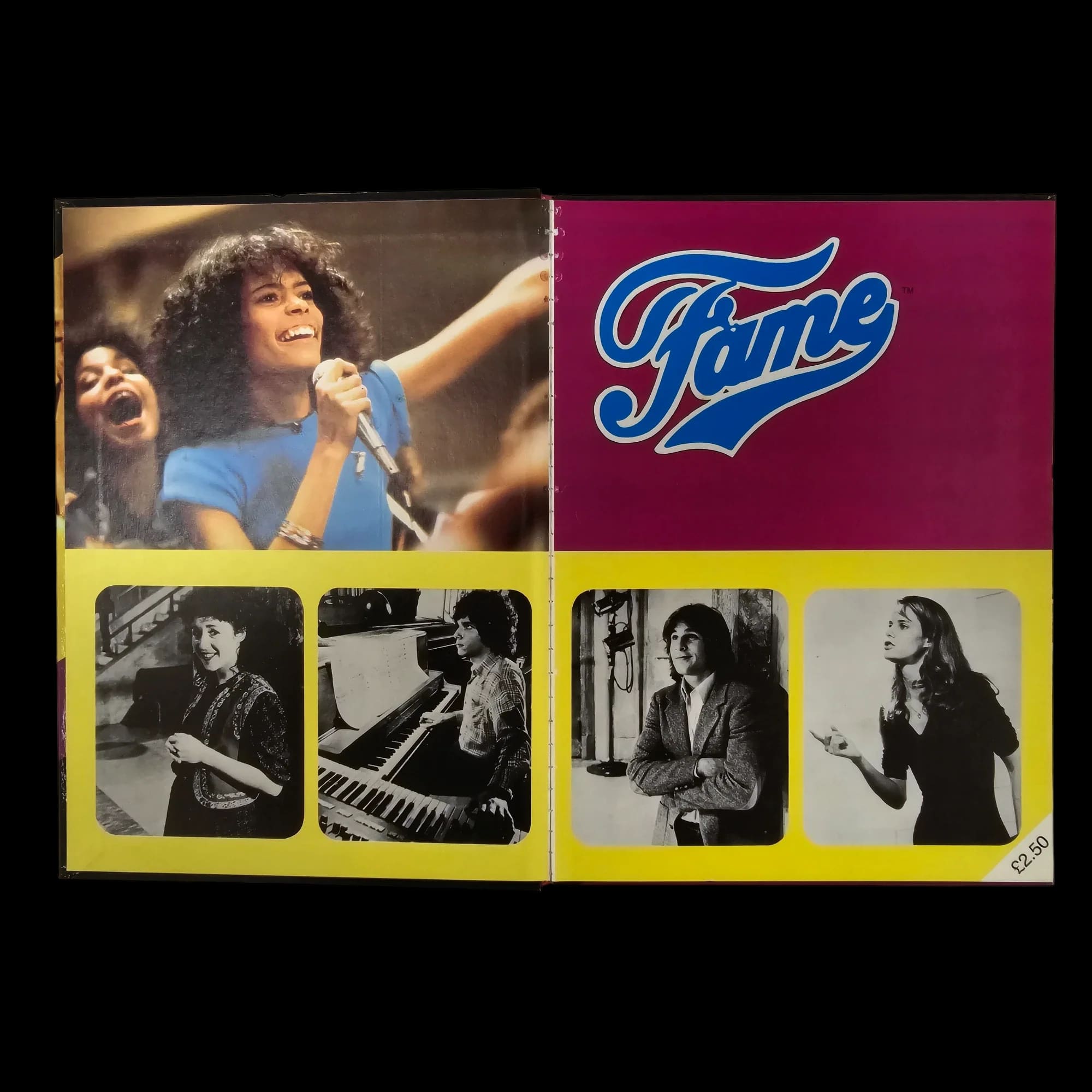 Fame Book BBC TV 80s Show 723566763 - Books - World