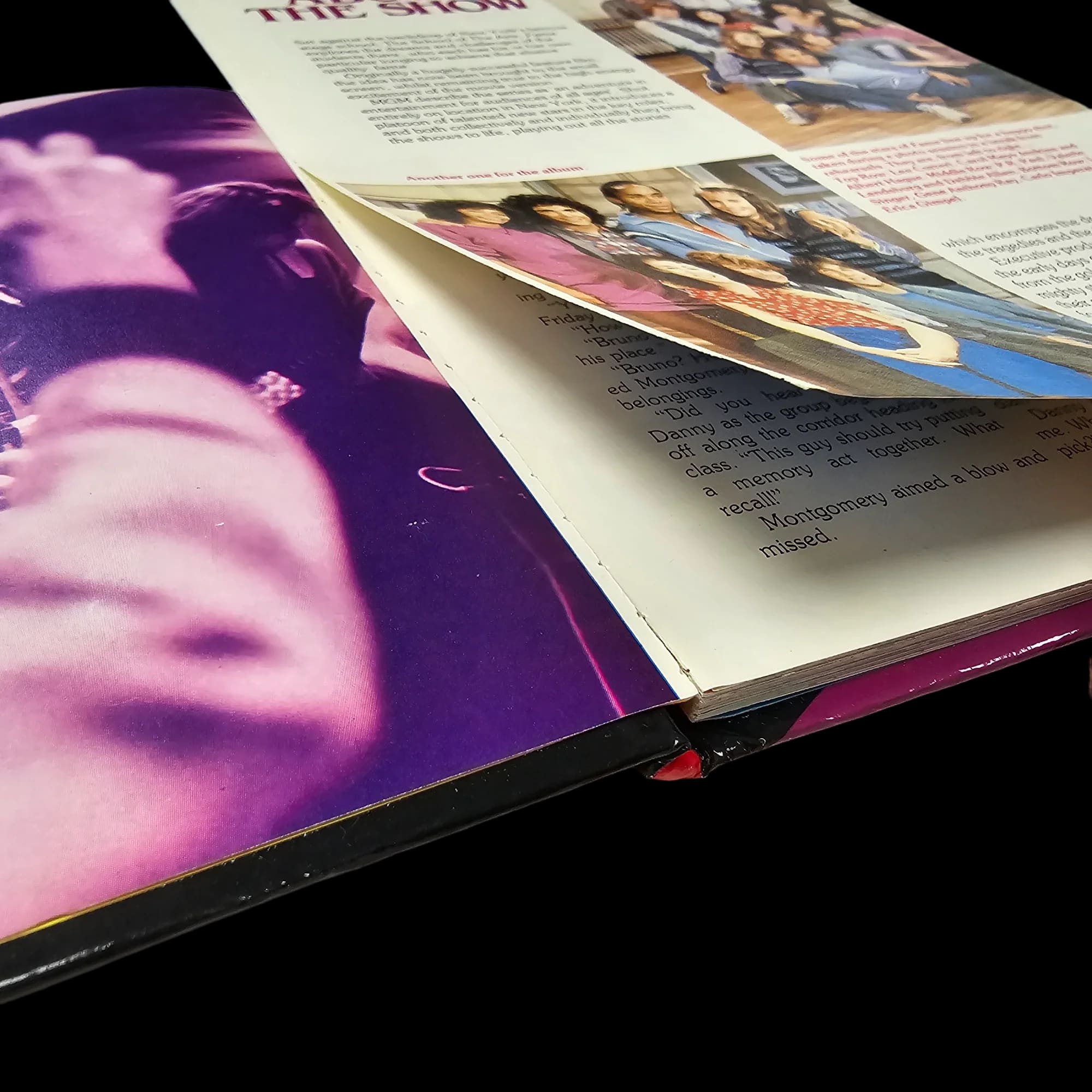 Fame Book BBC TV 80s Show 723566763 - Books - World