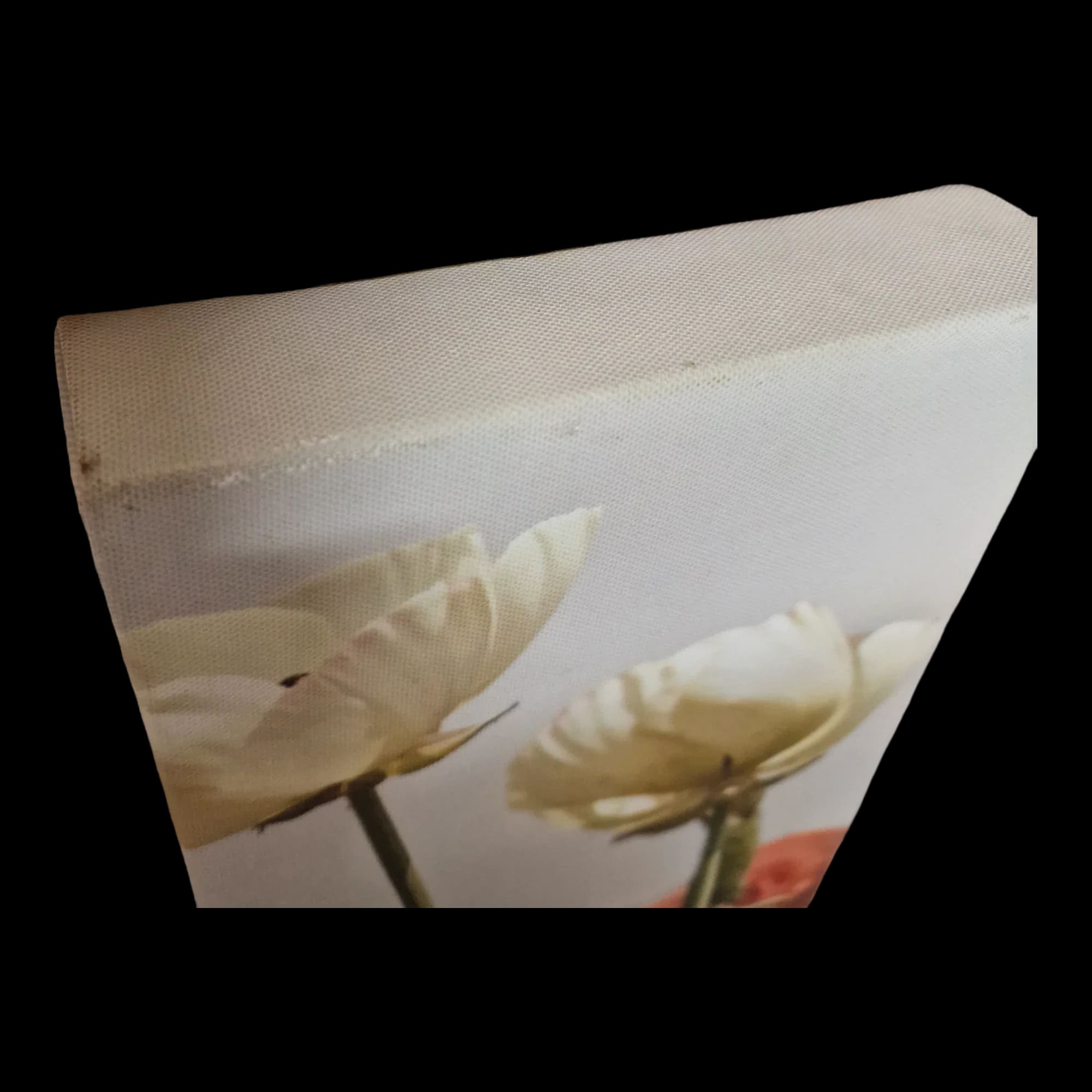 Floral Canvas Wall Art - Pictures - Unbranded - 3 - 1331