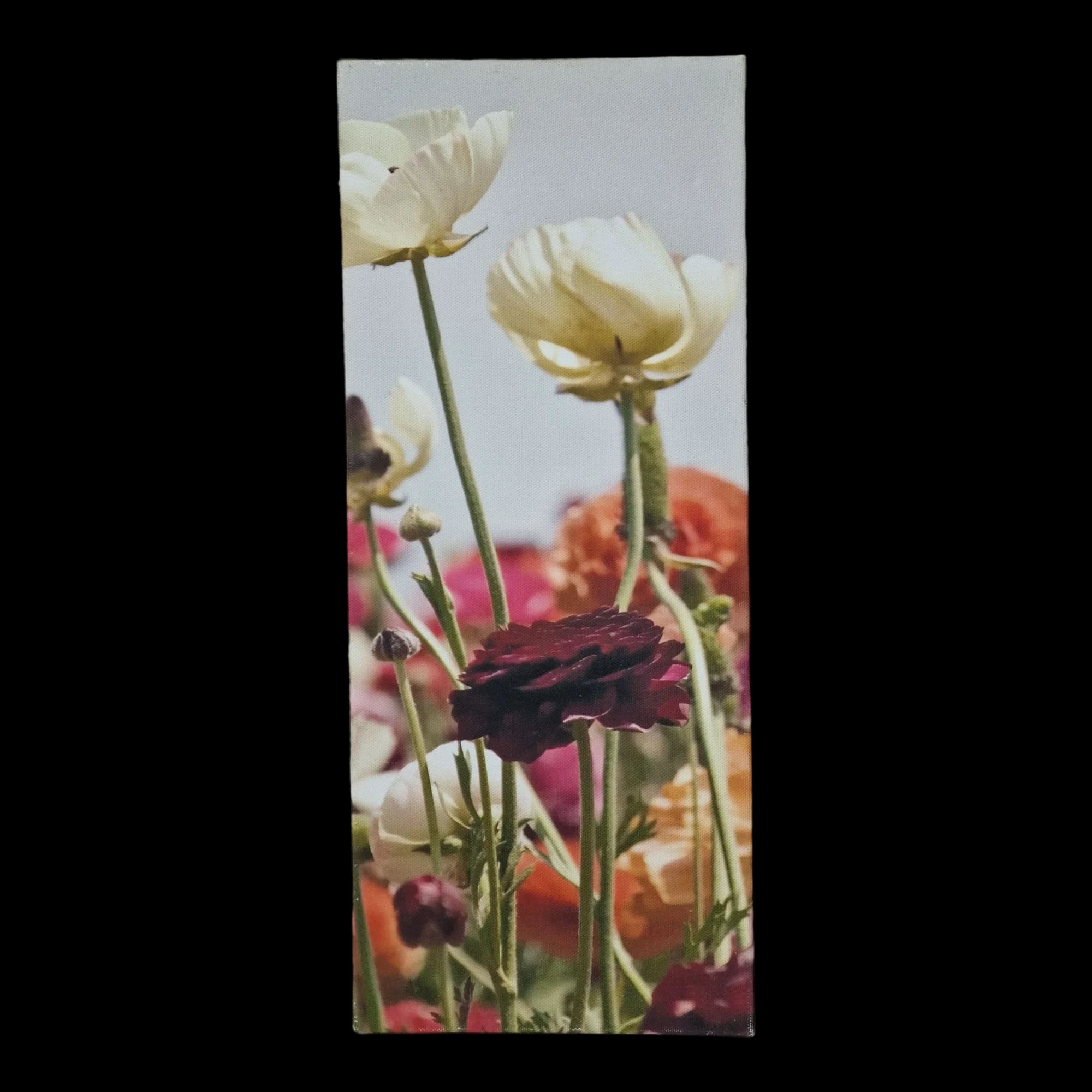 Floral Canvas Wall Art - Pictures - Unbranded - 1 - 1331