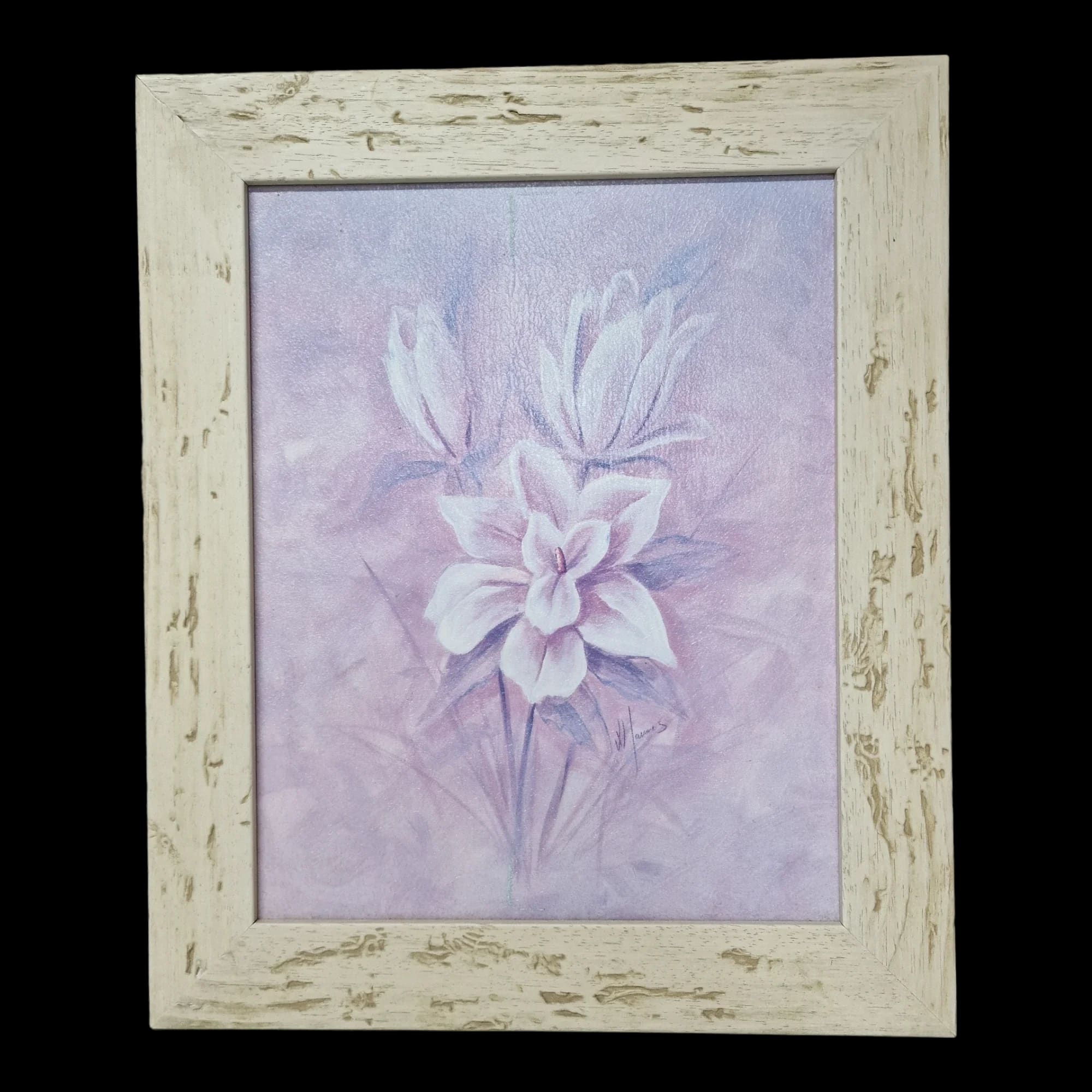 Floral Picture Wall Art - Pictures - Unbranded - 1 - 1314