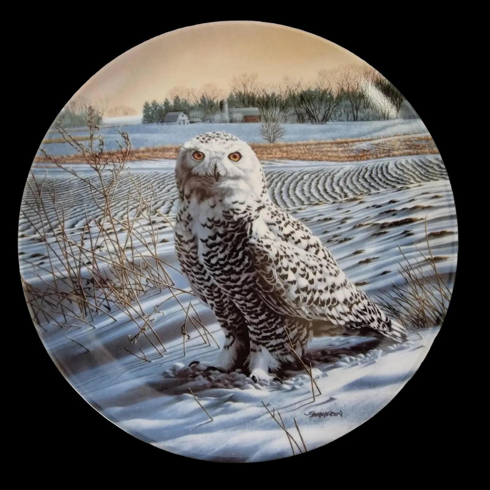 Knowles The Snowy Owl Ornamental Plate - 1 - 3032