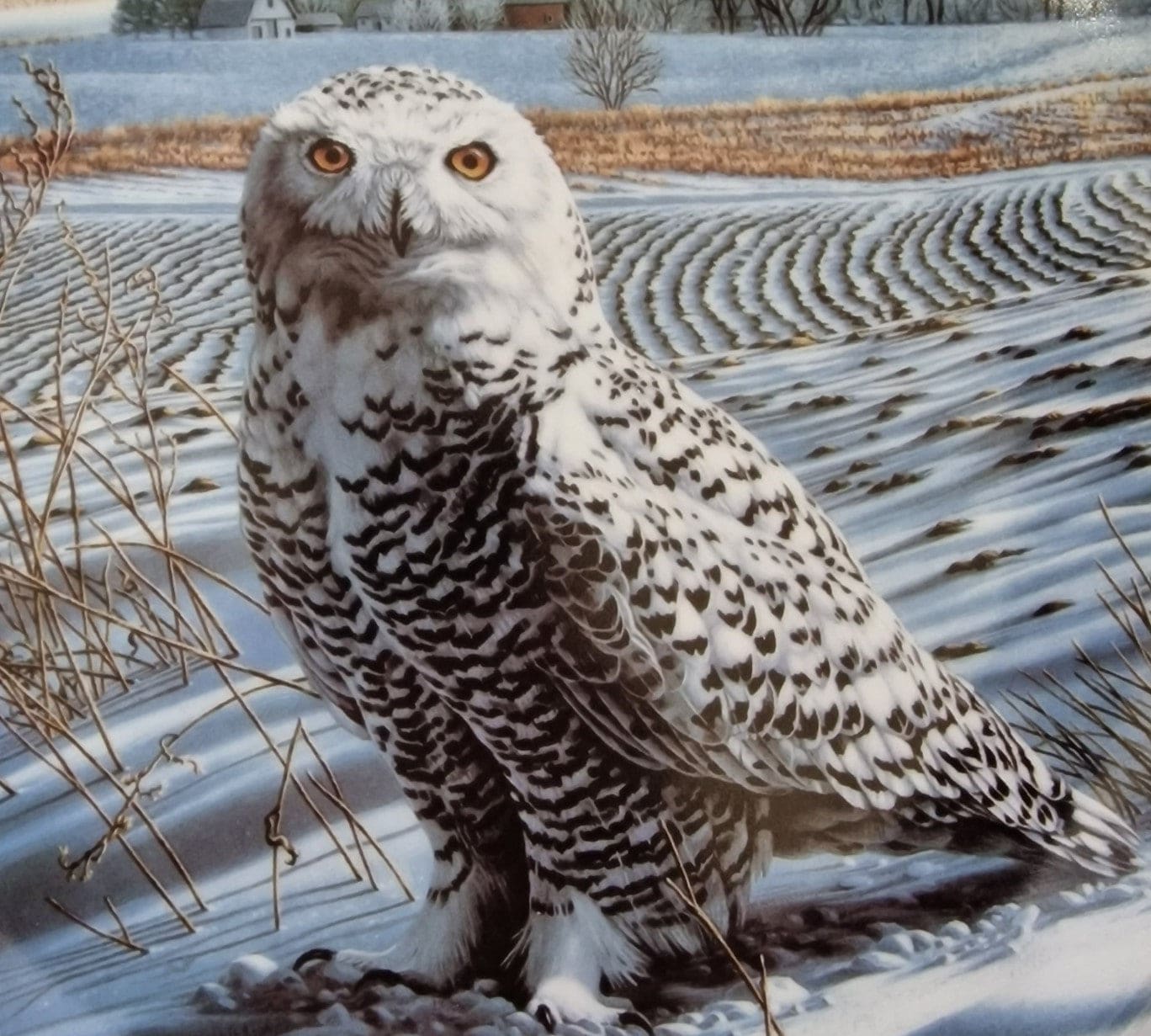 Knowles The Snowy Owl Ornamental Plate - 2 - 3032
