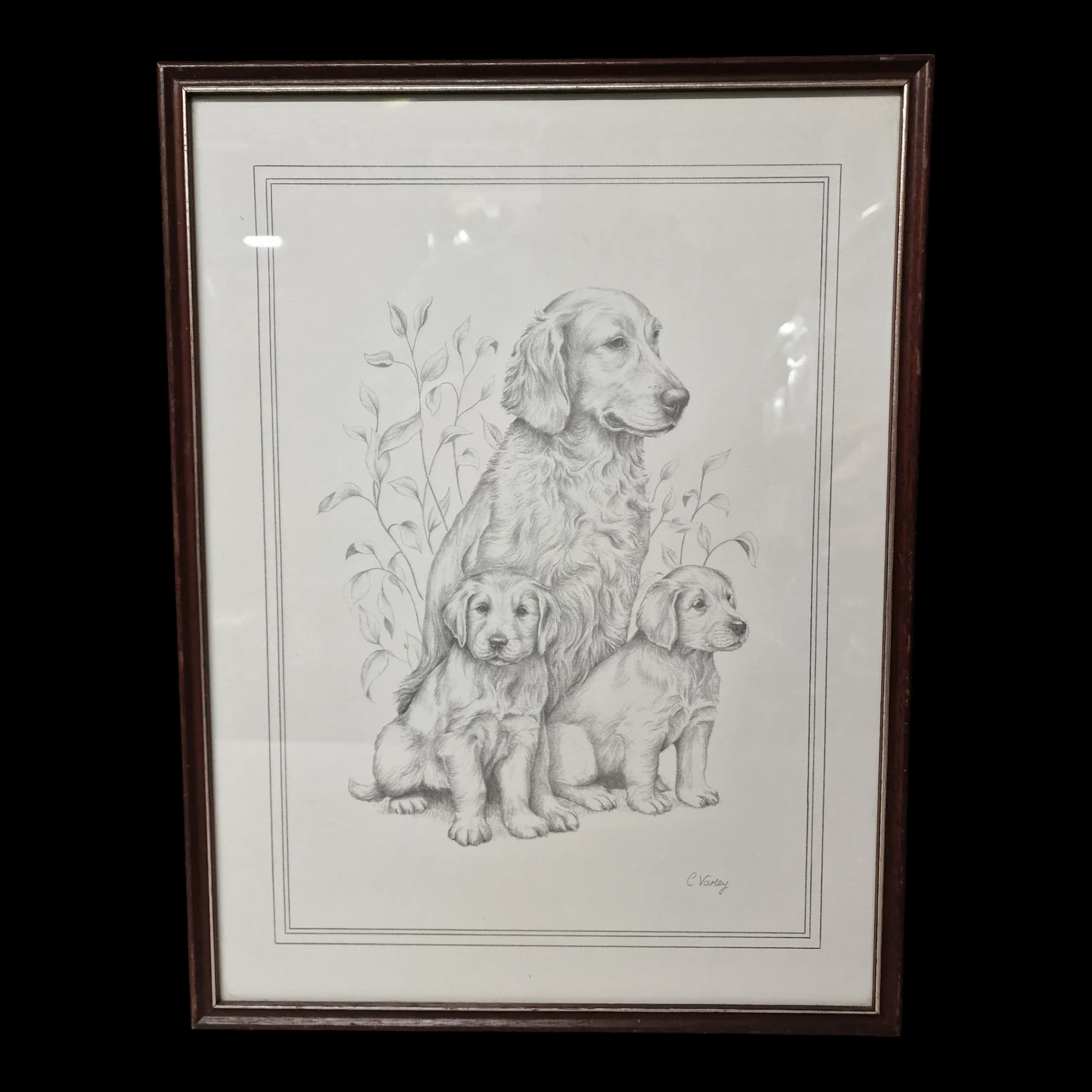 Labrador And Puppies Picture Wall Art - Pictures - Rainbow
