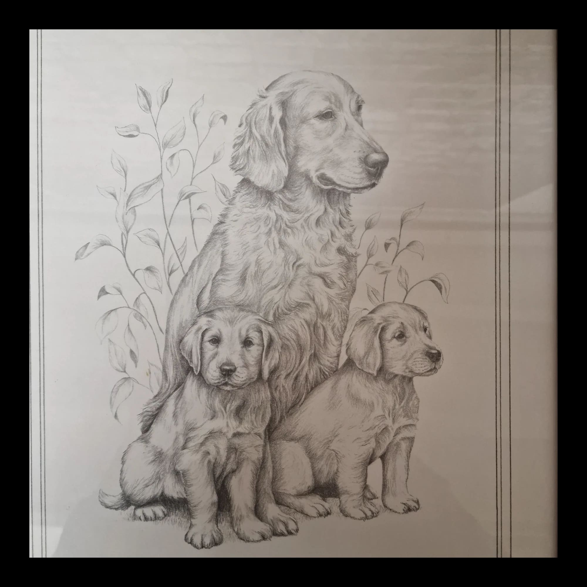 Labrador And Puppies Picture Wall Art - Pictures - Rainbow