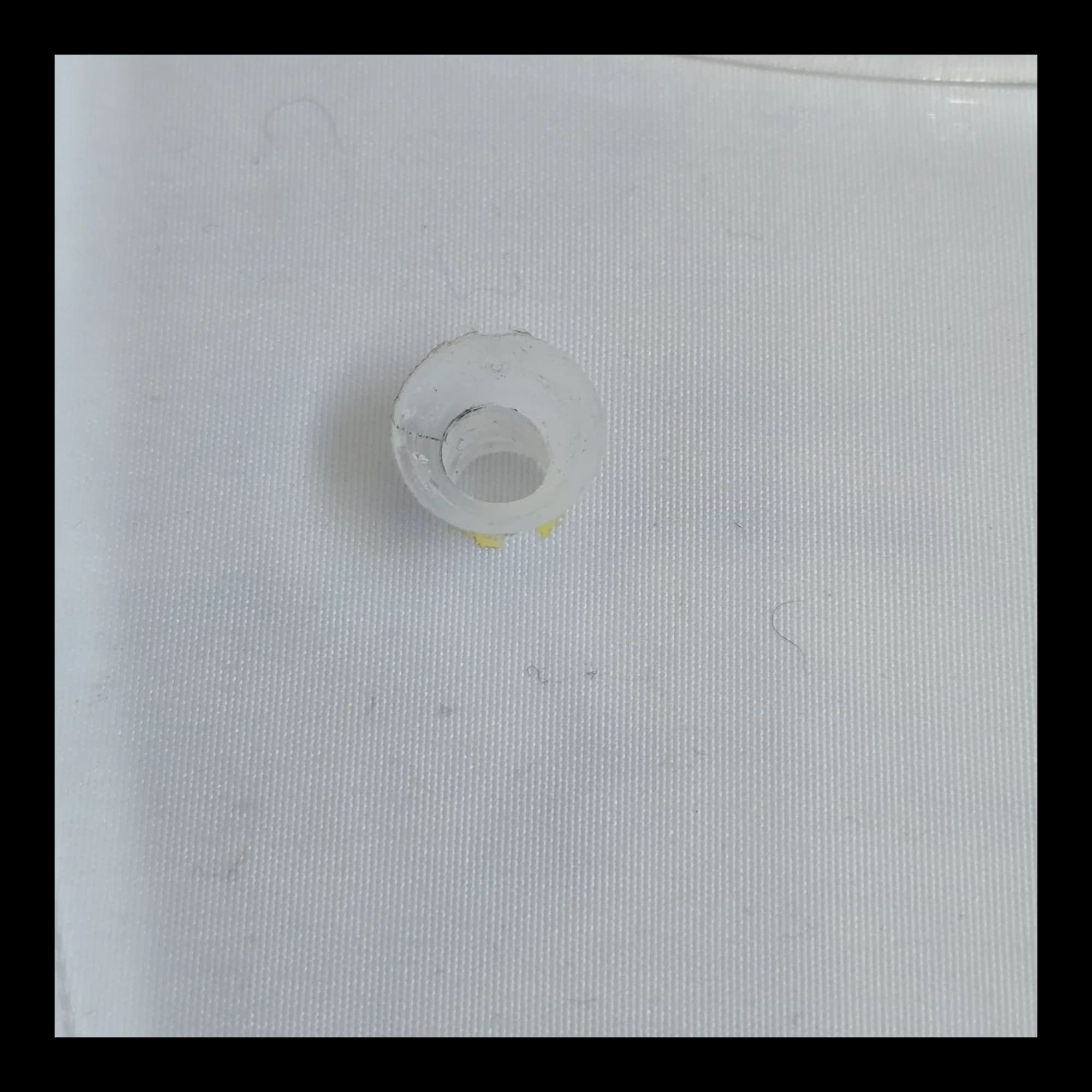 Large Flounder Fish Wall Mountable Clear Perspex Picture