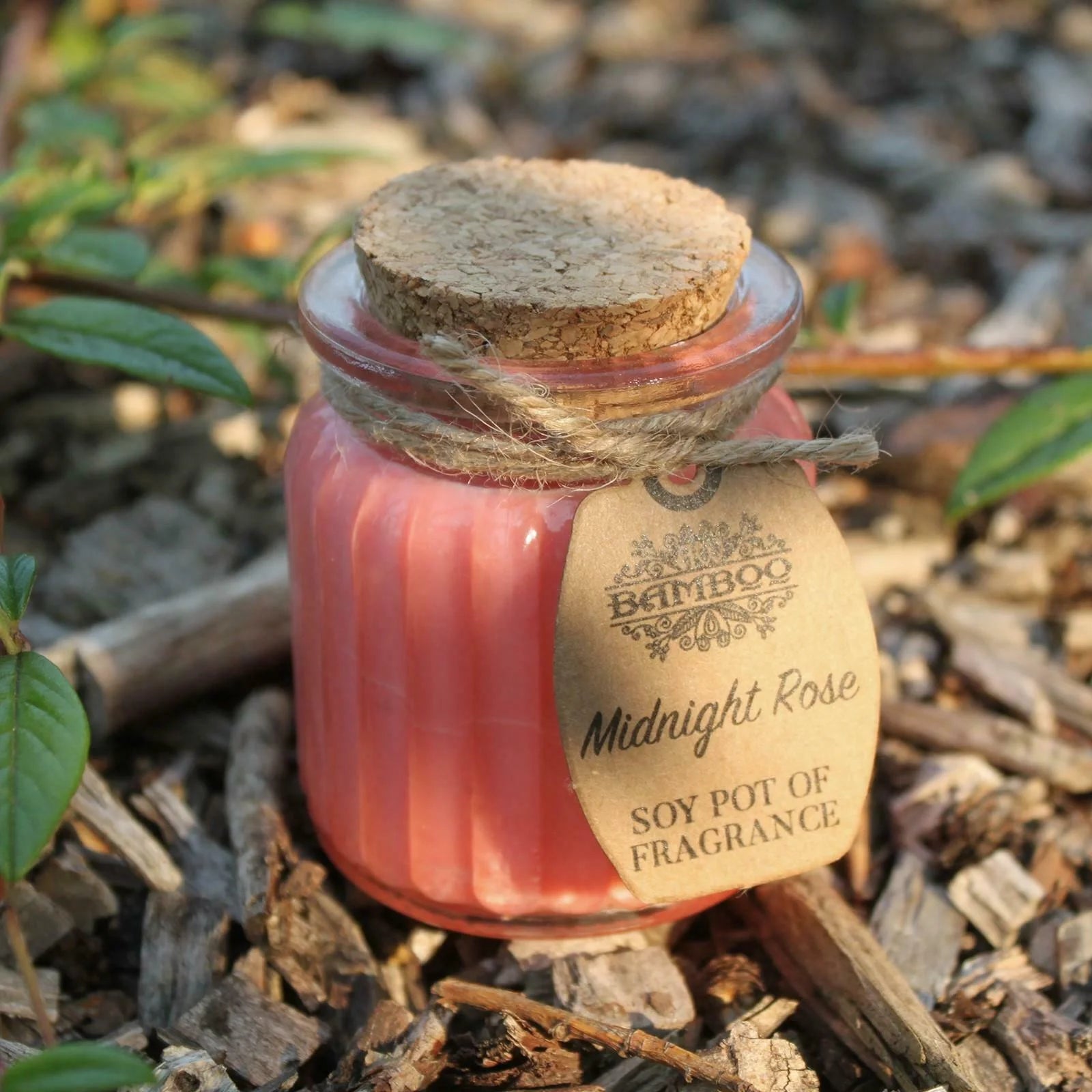 Midnight Rose Soy Pot Of Fragrance Candles - Ancient Wisdom