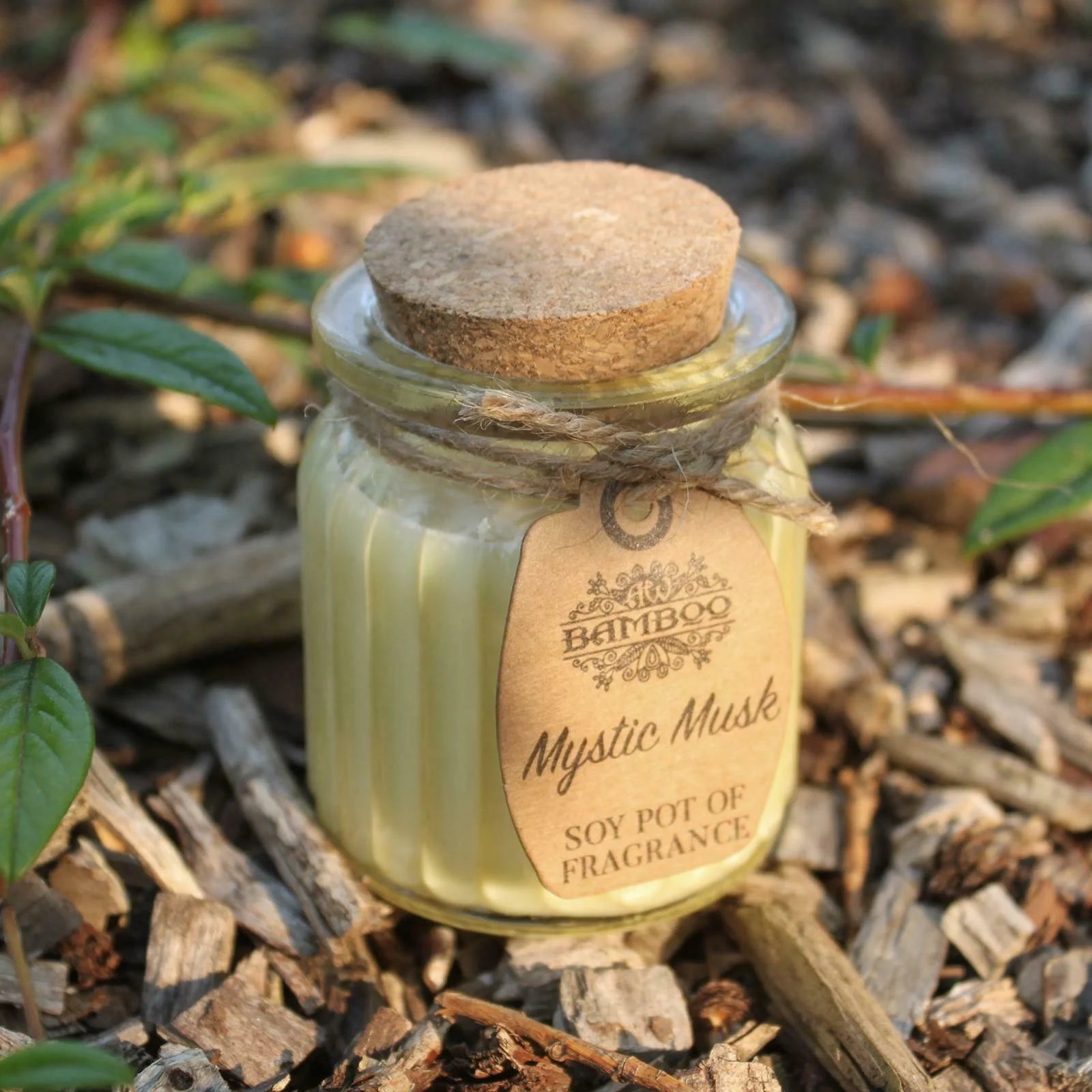 Mystic Musk Soy Pot Of Fragrance Candles - Ancient Wisdom