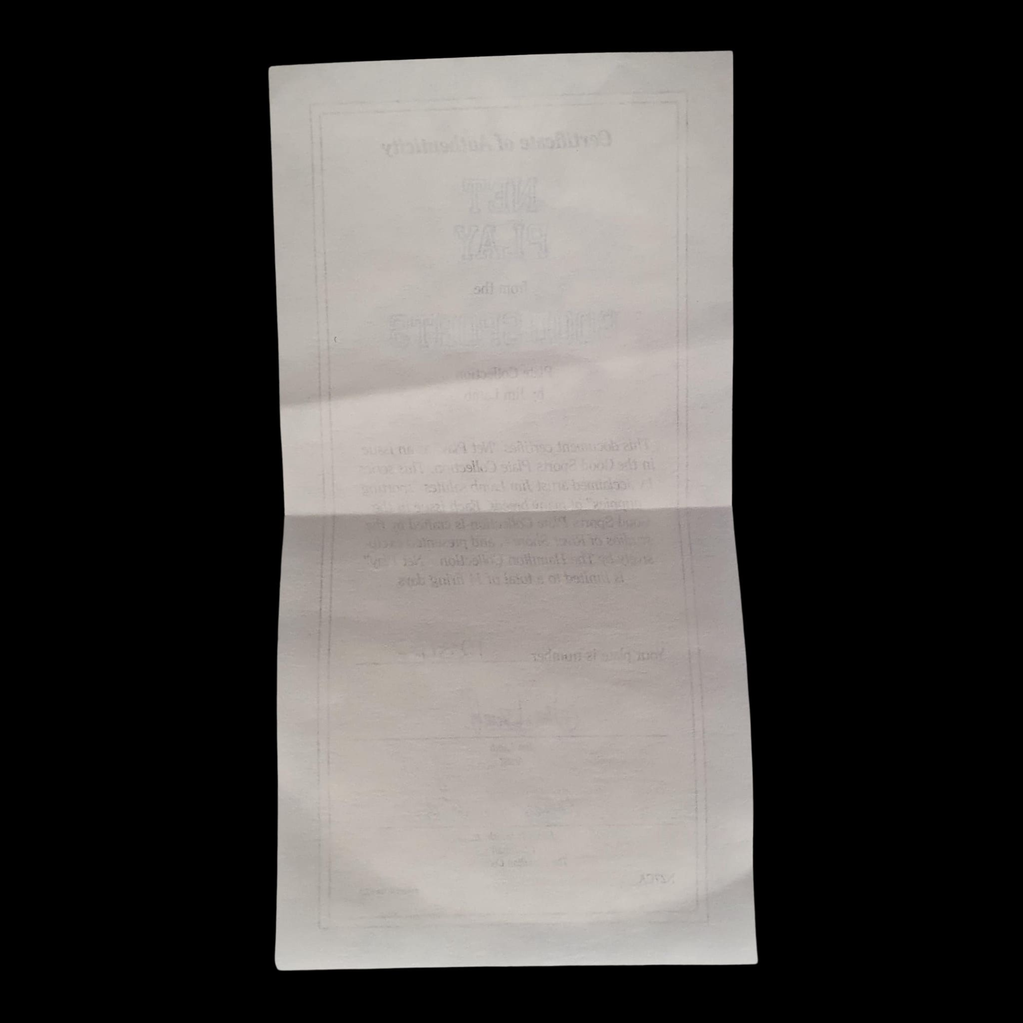 Ornamental Plate Net Play Jim Lamb River Shore 1990 Vintage