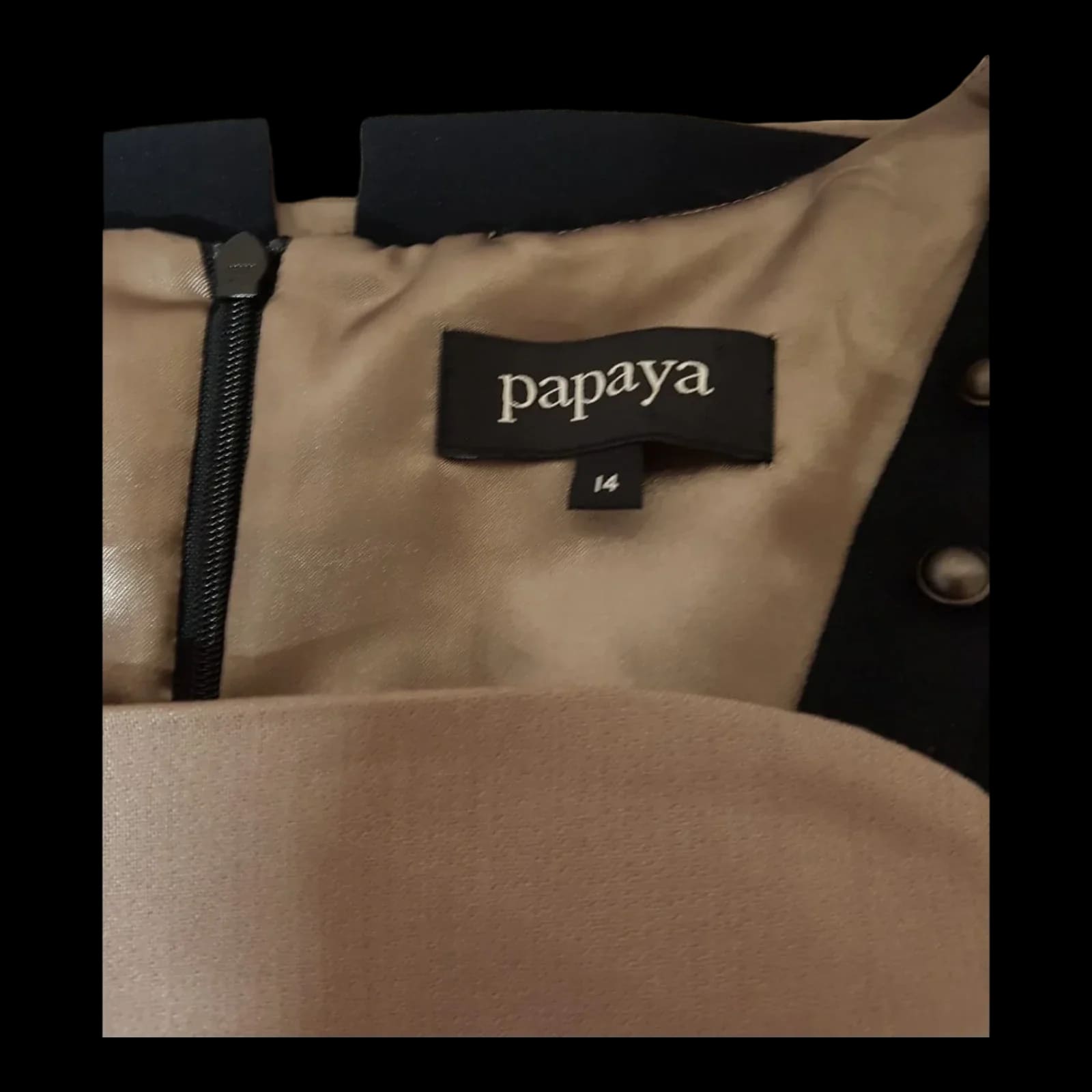 Papaya