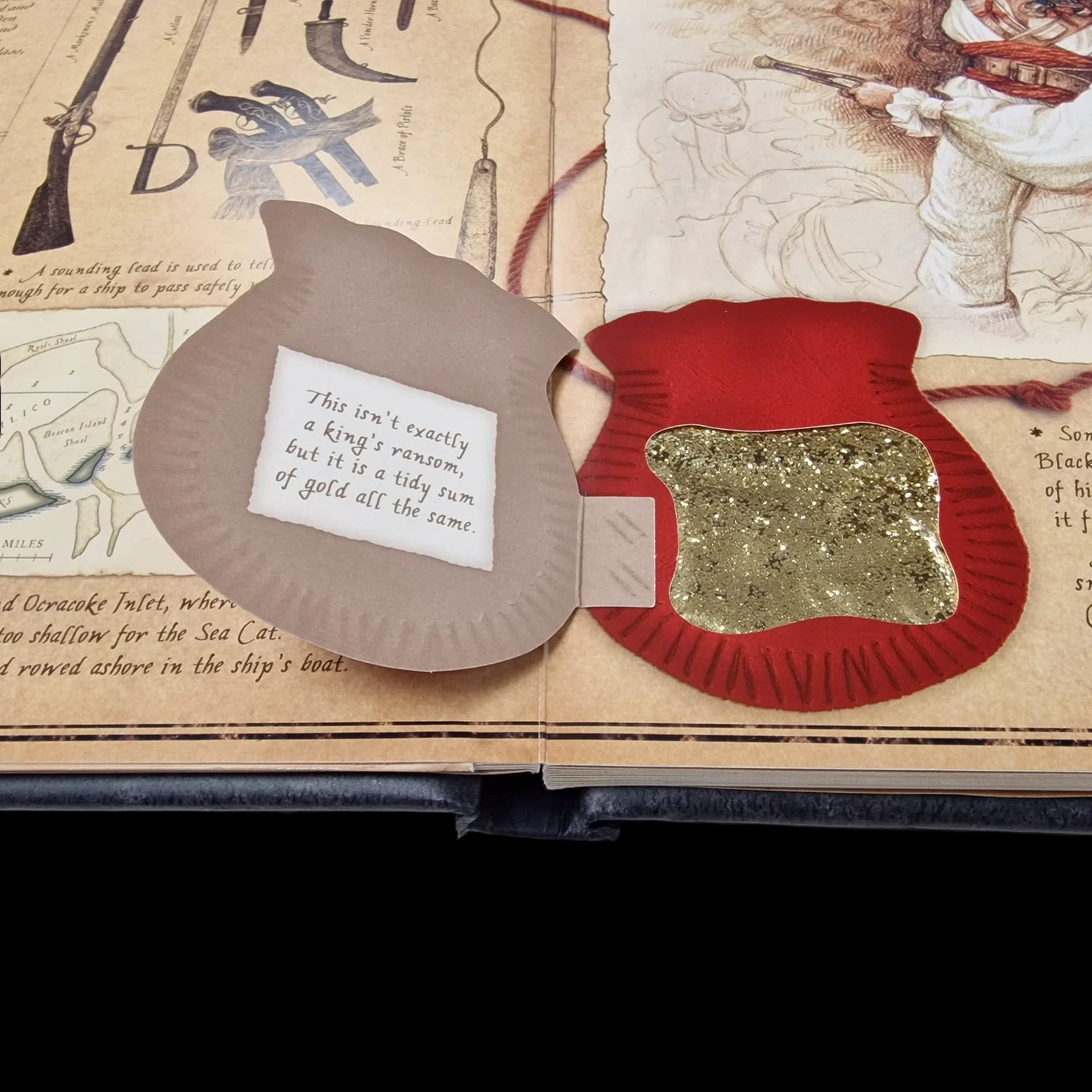 Pirateology Hardback Book Dugald Steer 1840112700 - Books