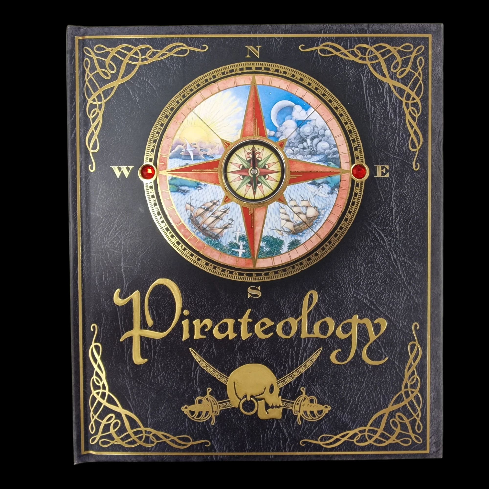 Pirateology Hardback Book Dugald Steer 1840112700 - Books