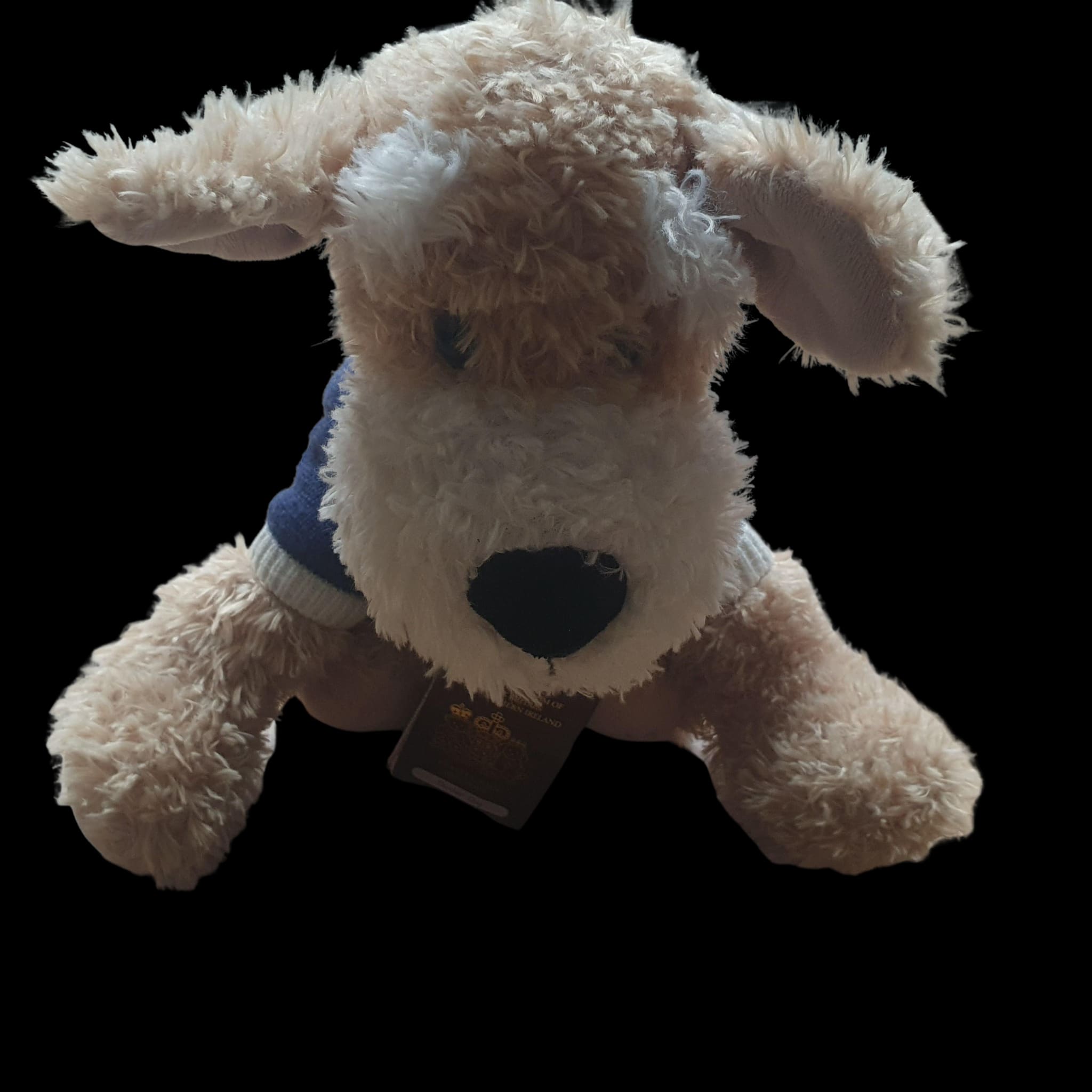 Playful Pals Hug Me Puppy Dog Plush Soft Toy With Uk