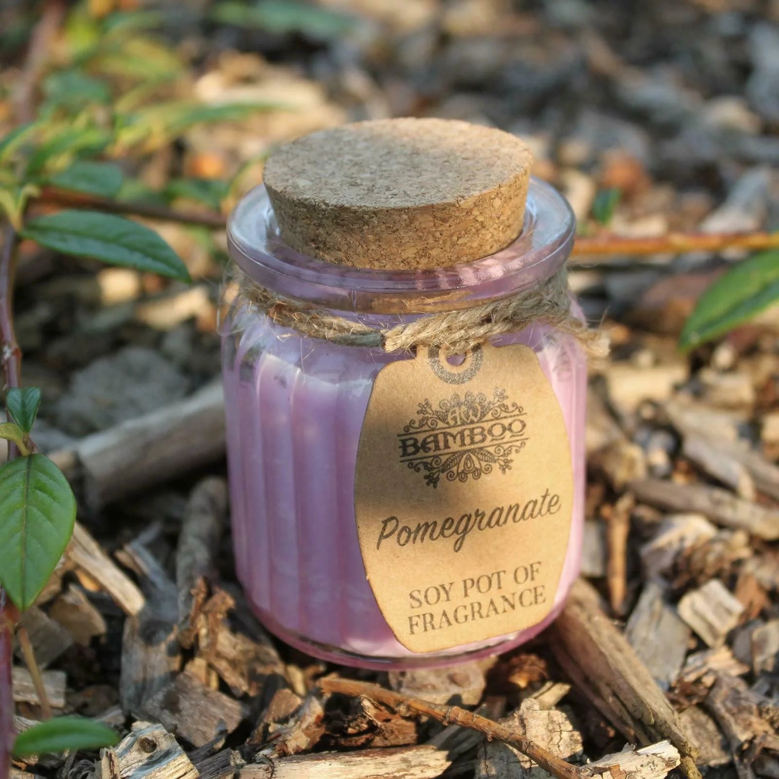 Pomegranate Soy Pot Of Fragrance Candles - Ancient Wisdom