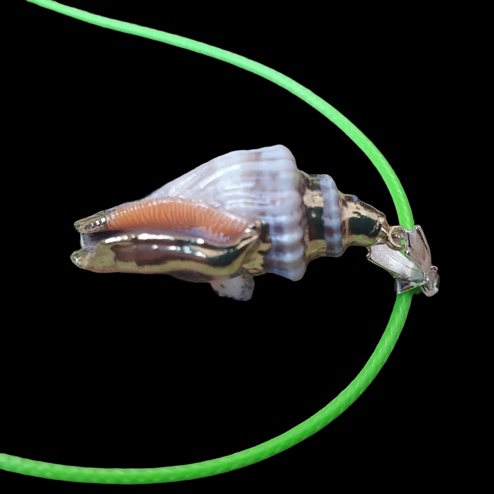 Real Seashell Necklace Pendant Charm Handmade Jewellery