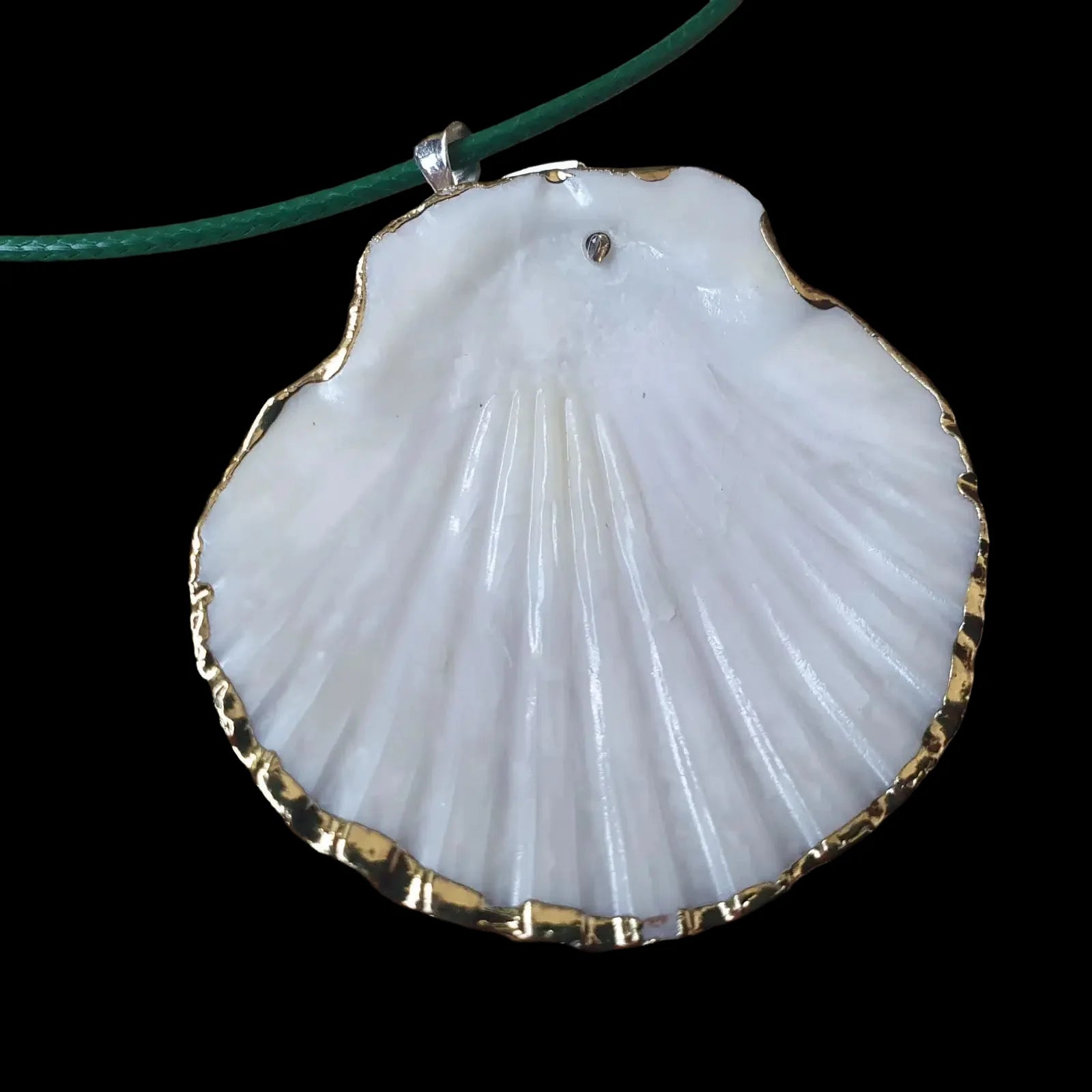 Real Seashell Necklace Pendant Charm Handmade Jewellery