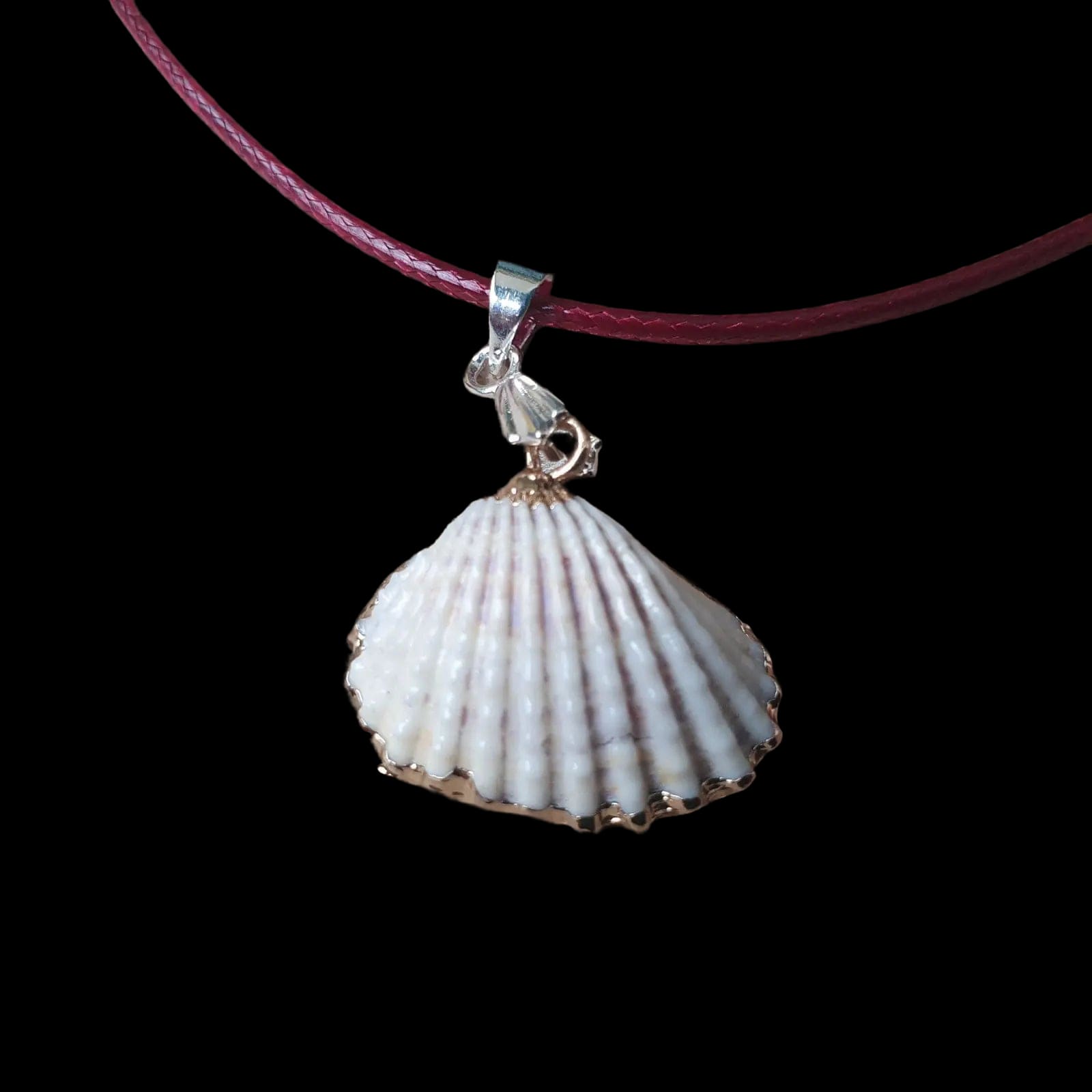 Real Seashell Small Necklace Pendant Charm Handmade