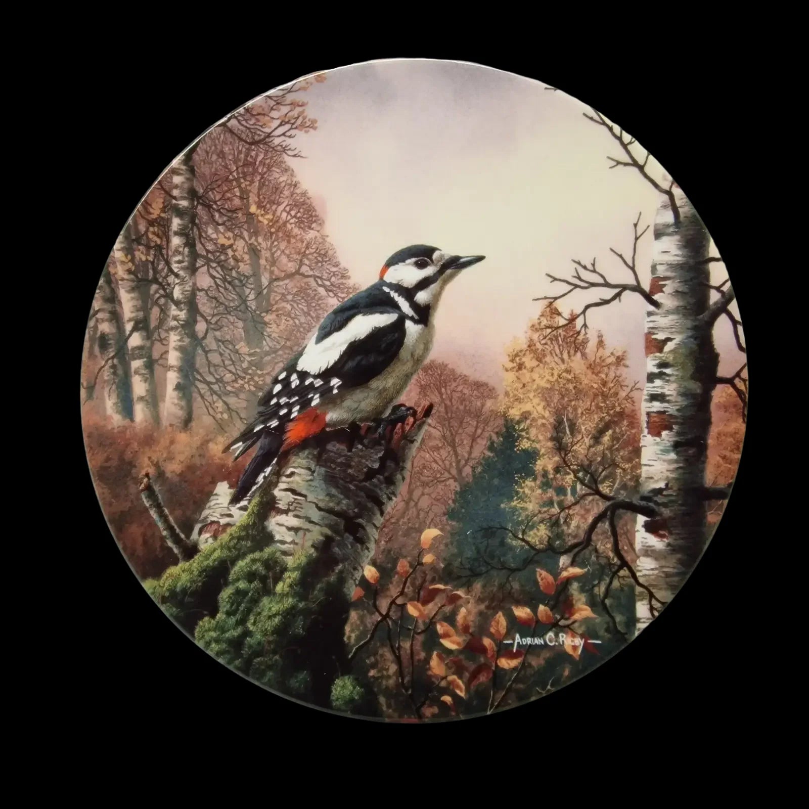 Royal Doulton Morning Sentinel Bird Ornamental Plate - 1