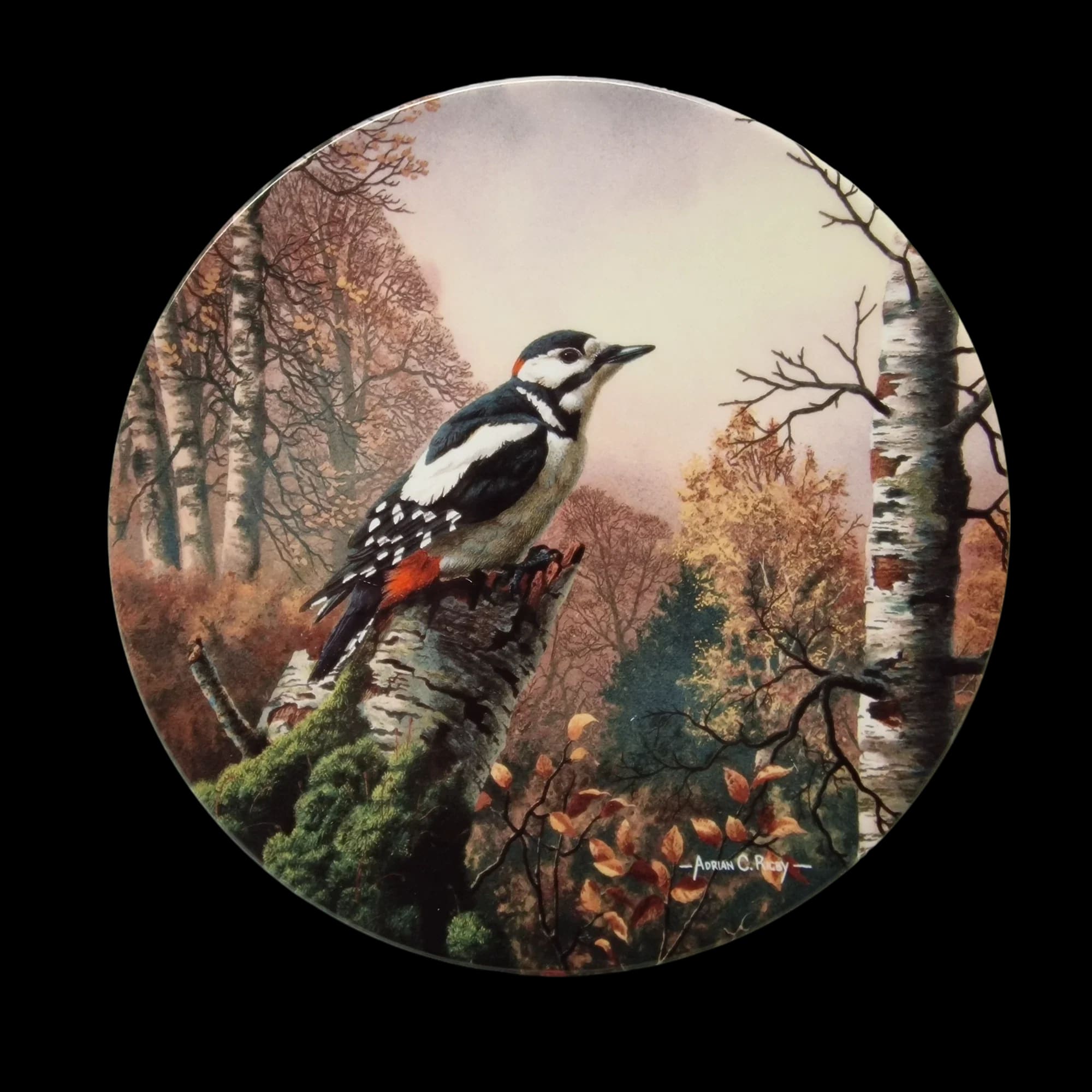 Royal Doulton Morning Sentinel Bird Ornamental Plate - 1