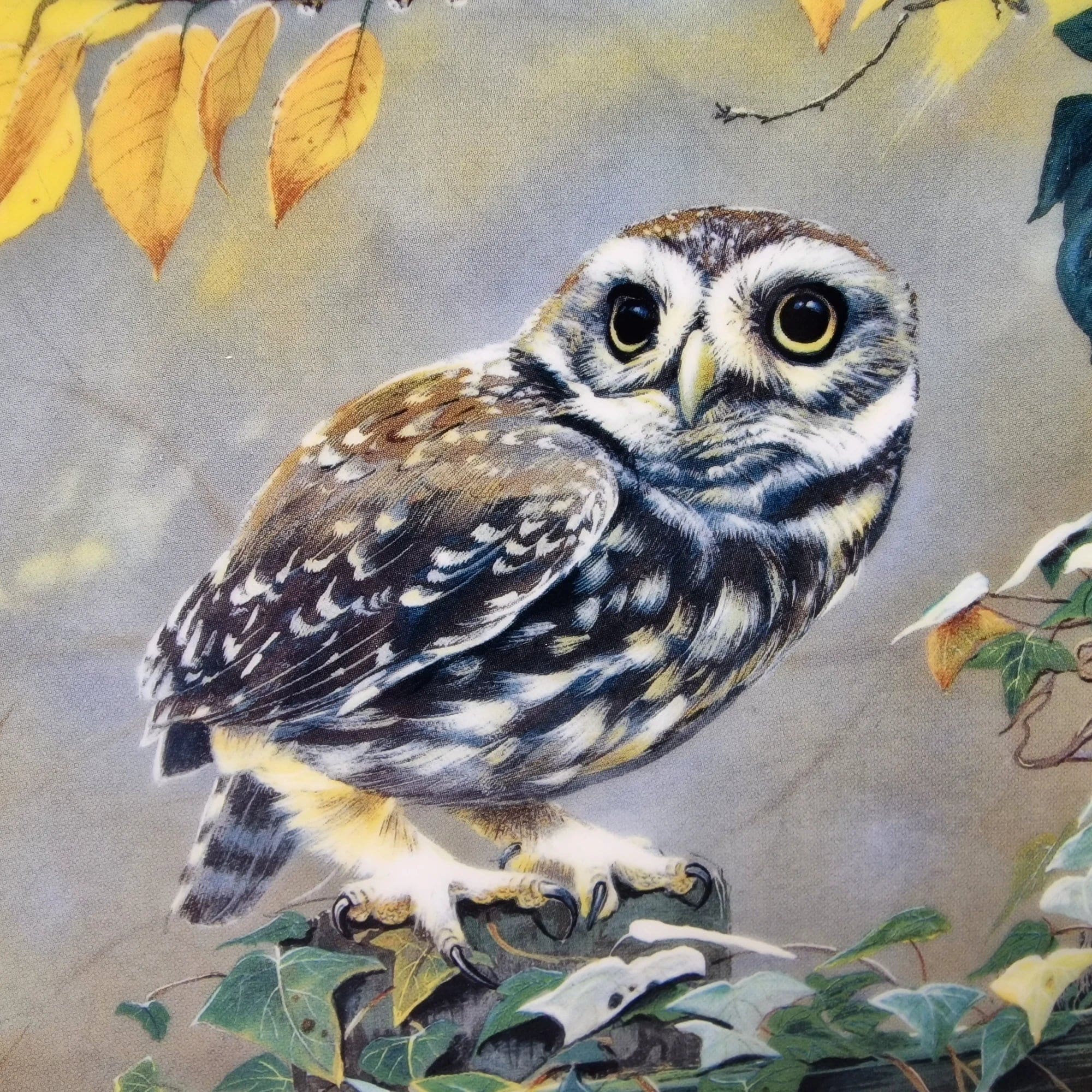 Royal Doulton Pause For Thought Owl Ornamental Plate - 3