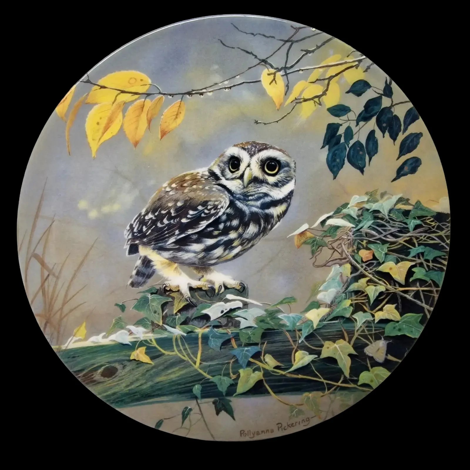 Royal Doulton Pause For Thought Owl Ornamental Plate - 1