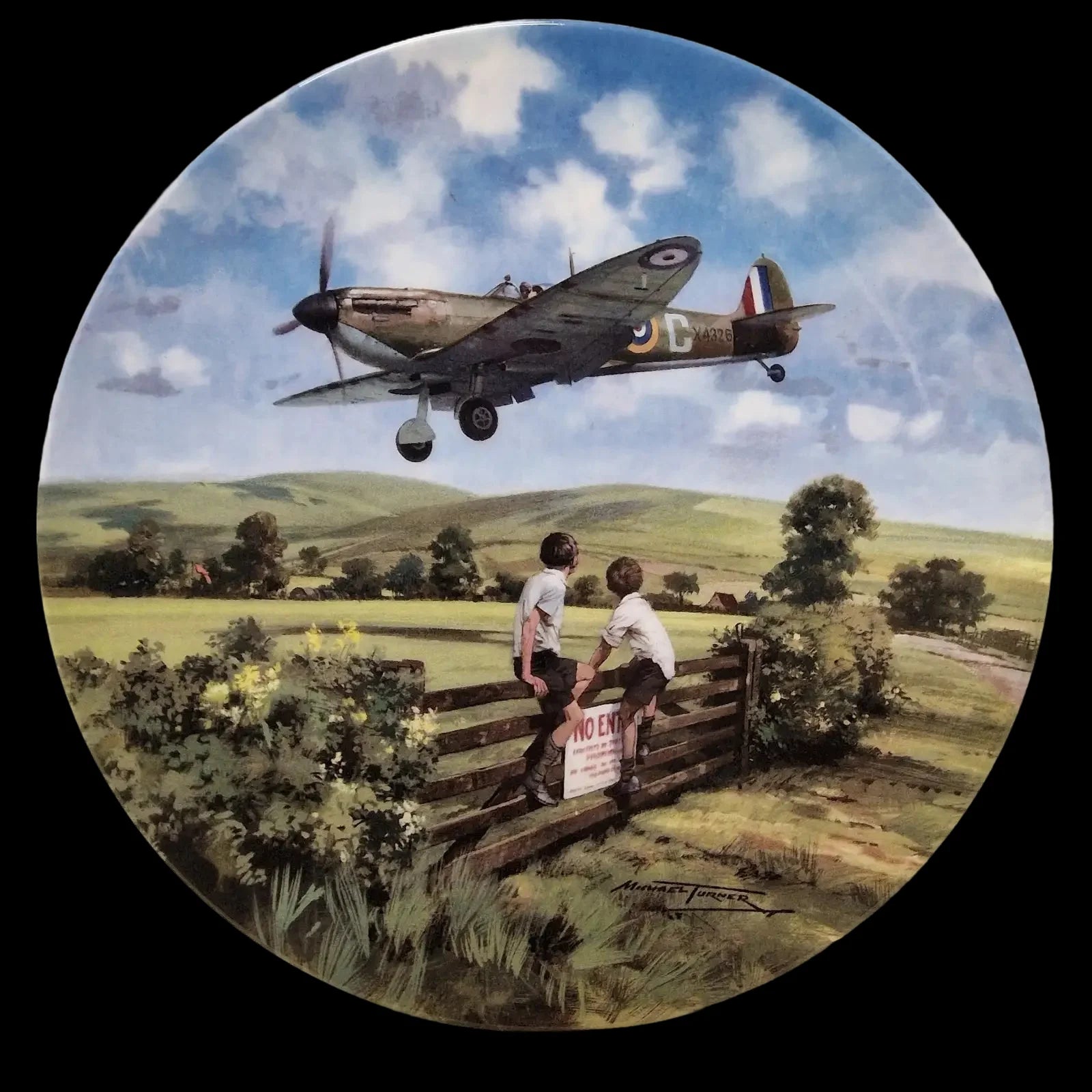 Royal Doulton Spitfire Coming Home Ornamental Plate - 1