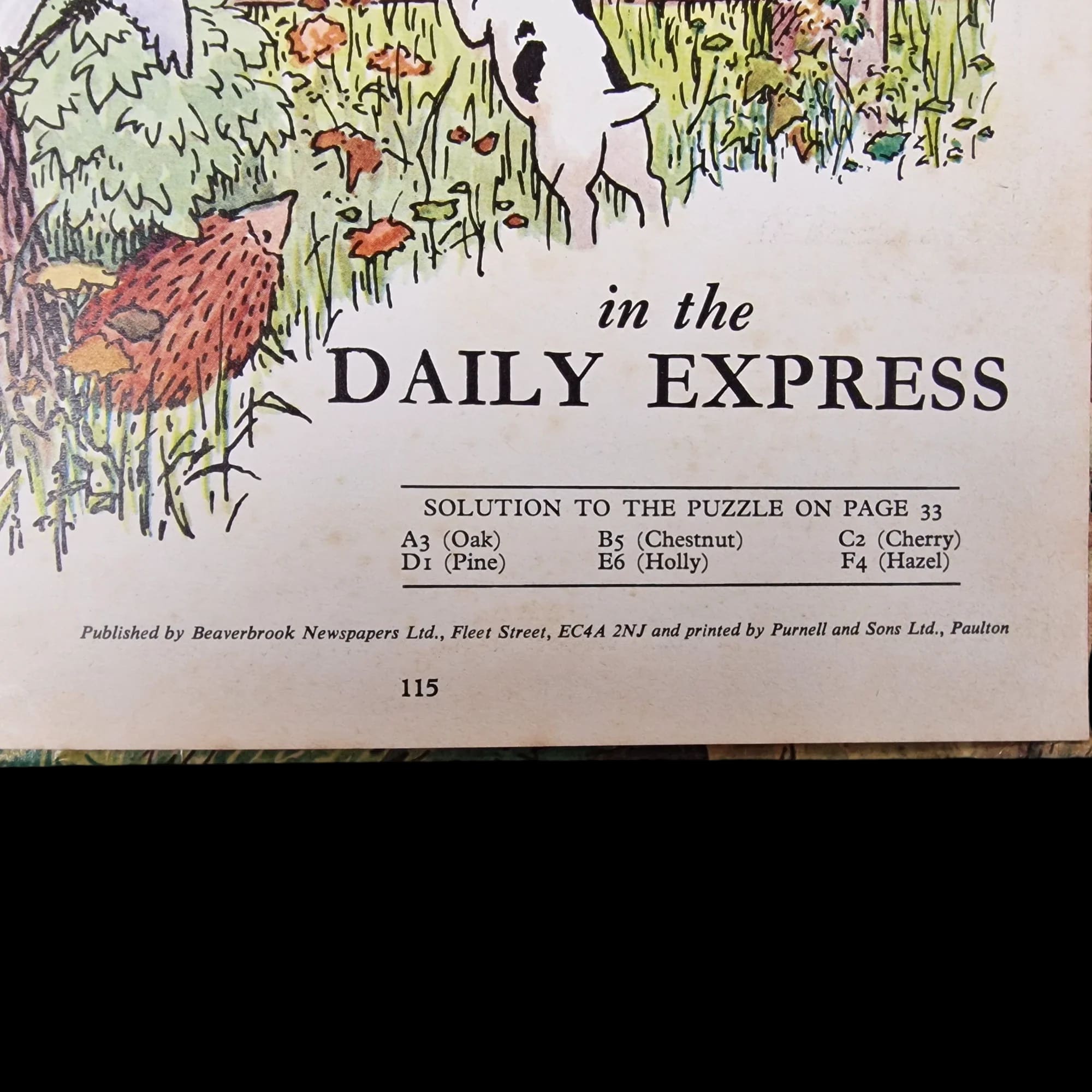 Rupert Bear Daily Express Annual 37 1972 Alfred Bestall
