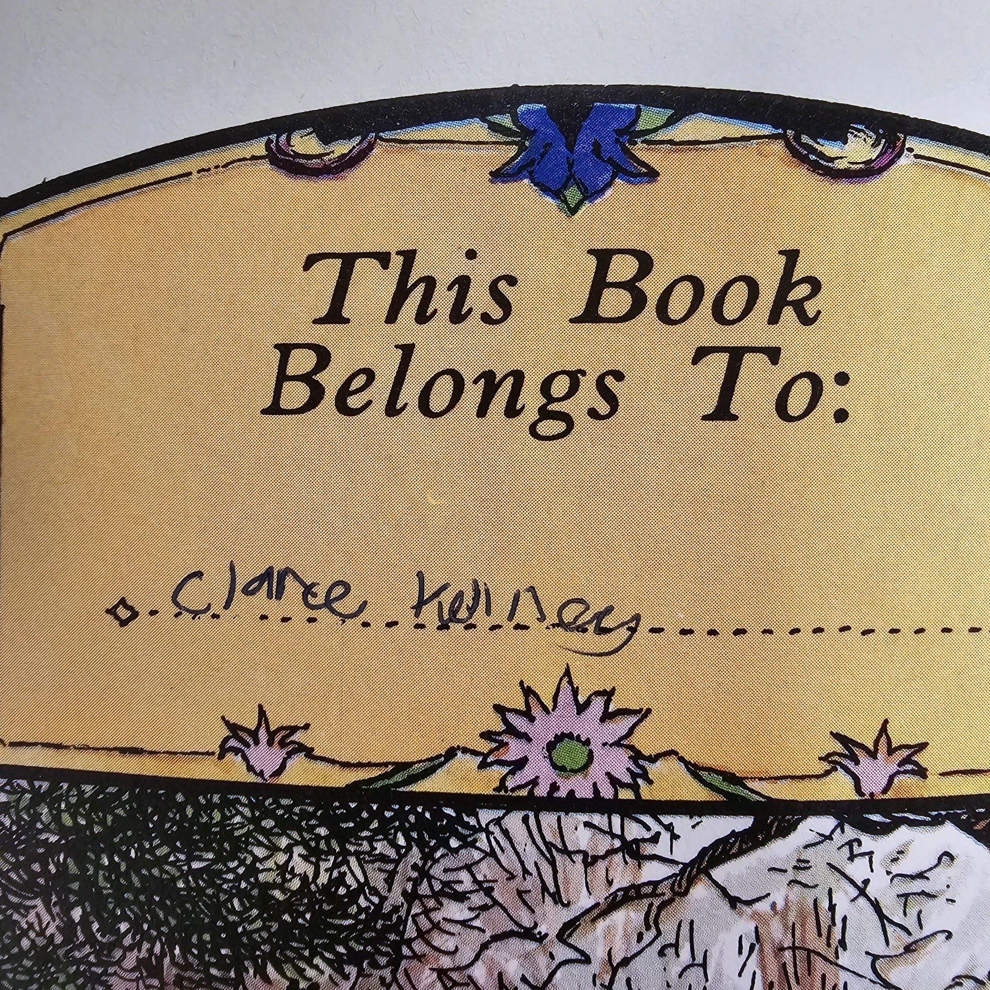 Rupert Bear Daily Express Annual 47 1982 James Henderson