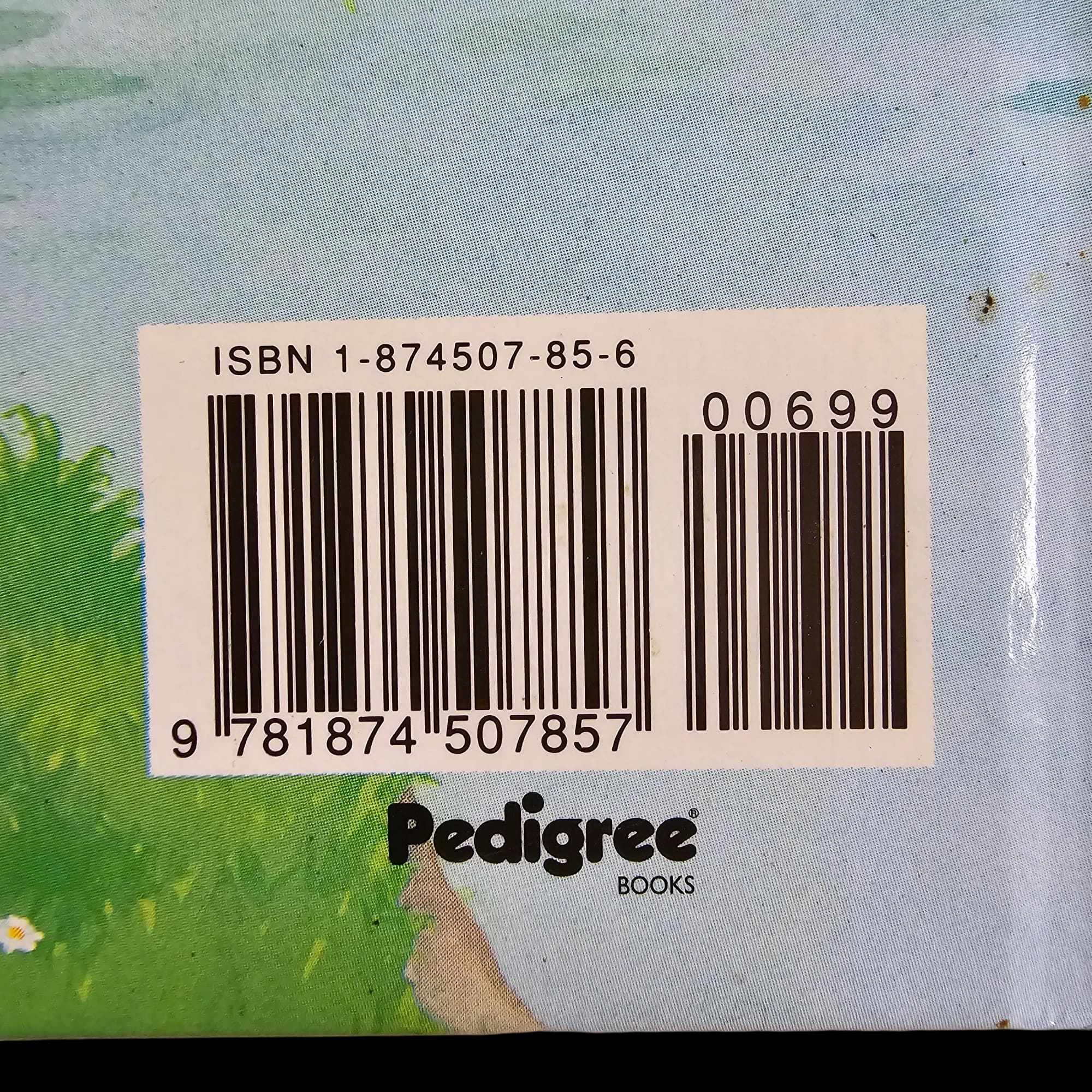 Rupert Bear Daily Express Annual 62 1997 1874507856 Vintage