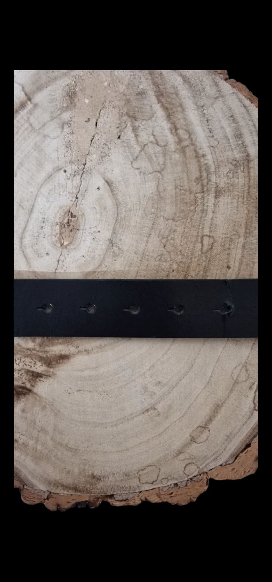 Thomas Nash Black Belt - 3 - 1236