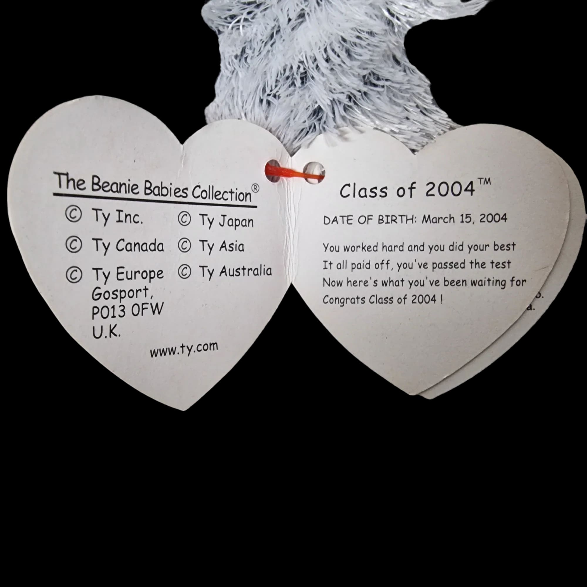 Ty Beanie Babies Baby Bears Class Of 2004 Graduation Owl