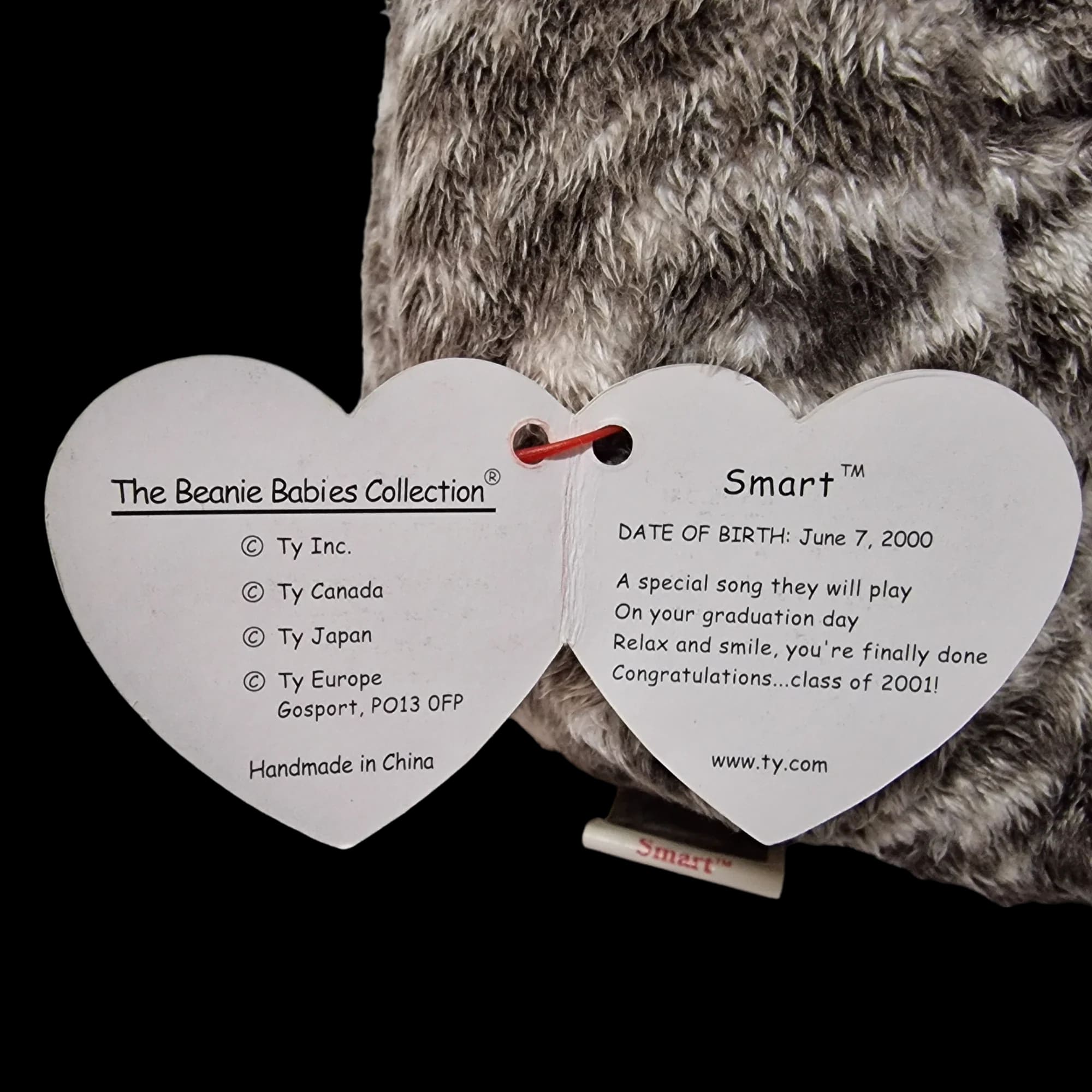 Ty Beanie Babies Baby Bears Smart Graduation Owl 2001