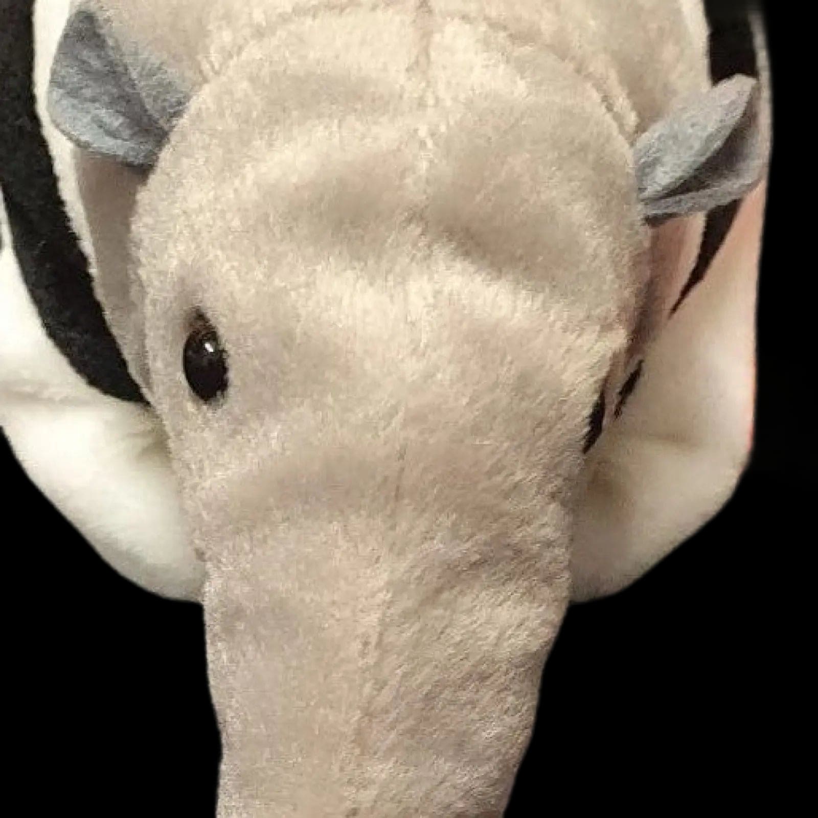 Ty Beanie Baby Ants The Anteater Retired With Tag 1998