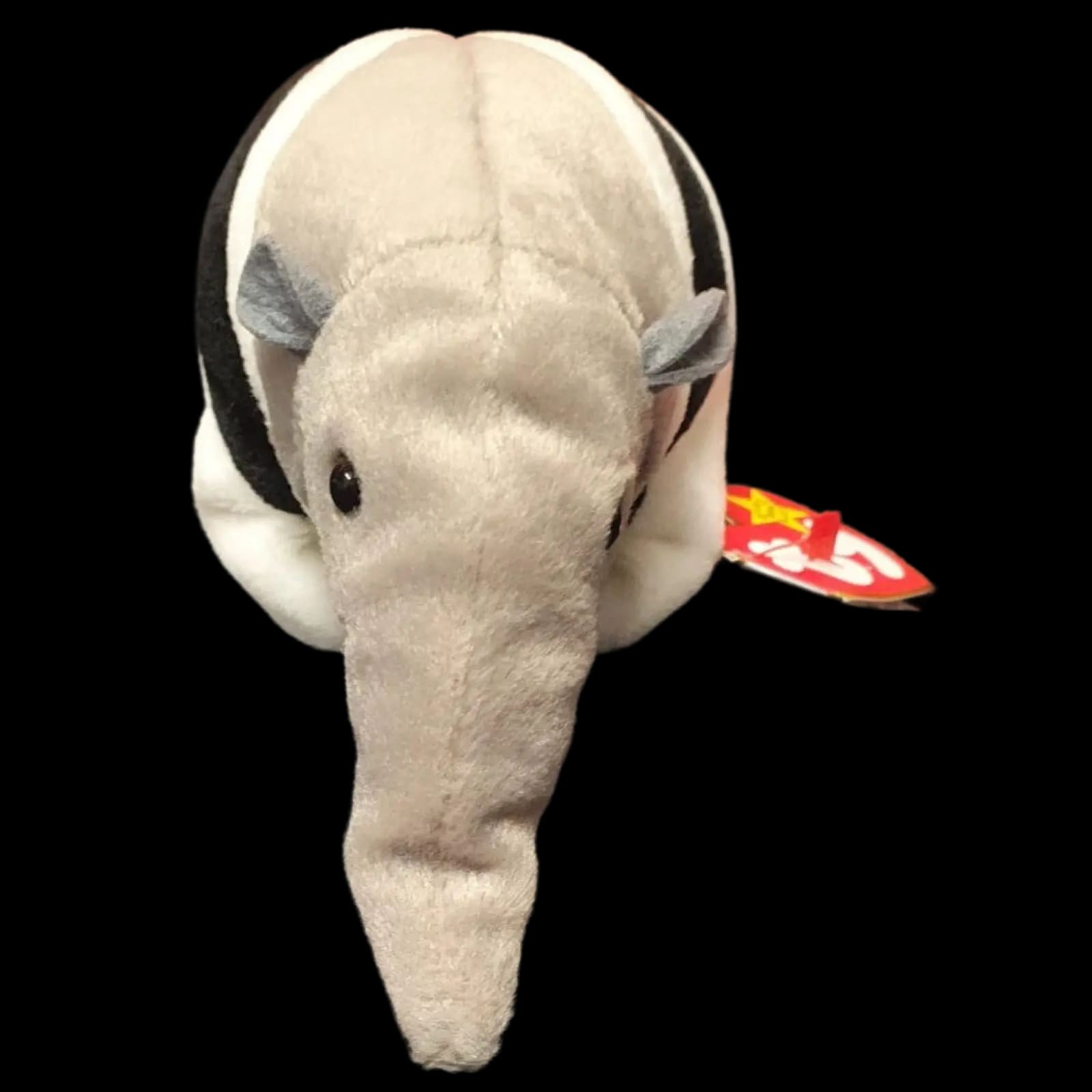 Ty Beanie Baby Ants The Anteater Retired With Tag 1998