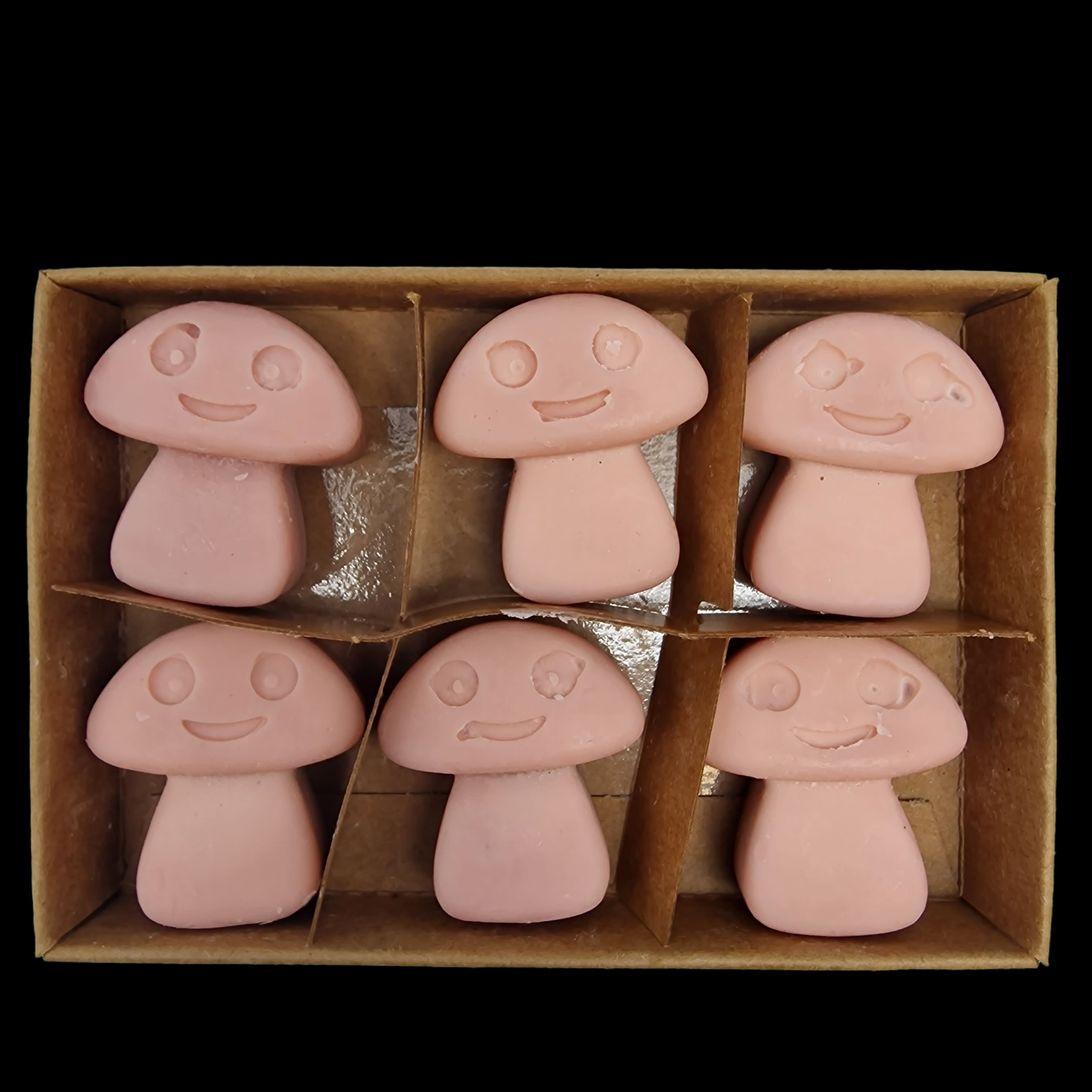 Wax Melts Soy Coffee Trader Home Fragrance Mushroom Shaped