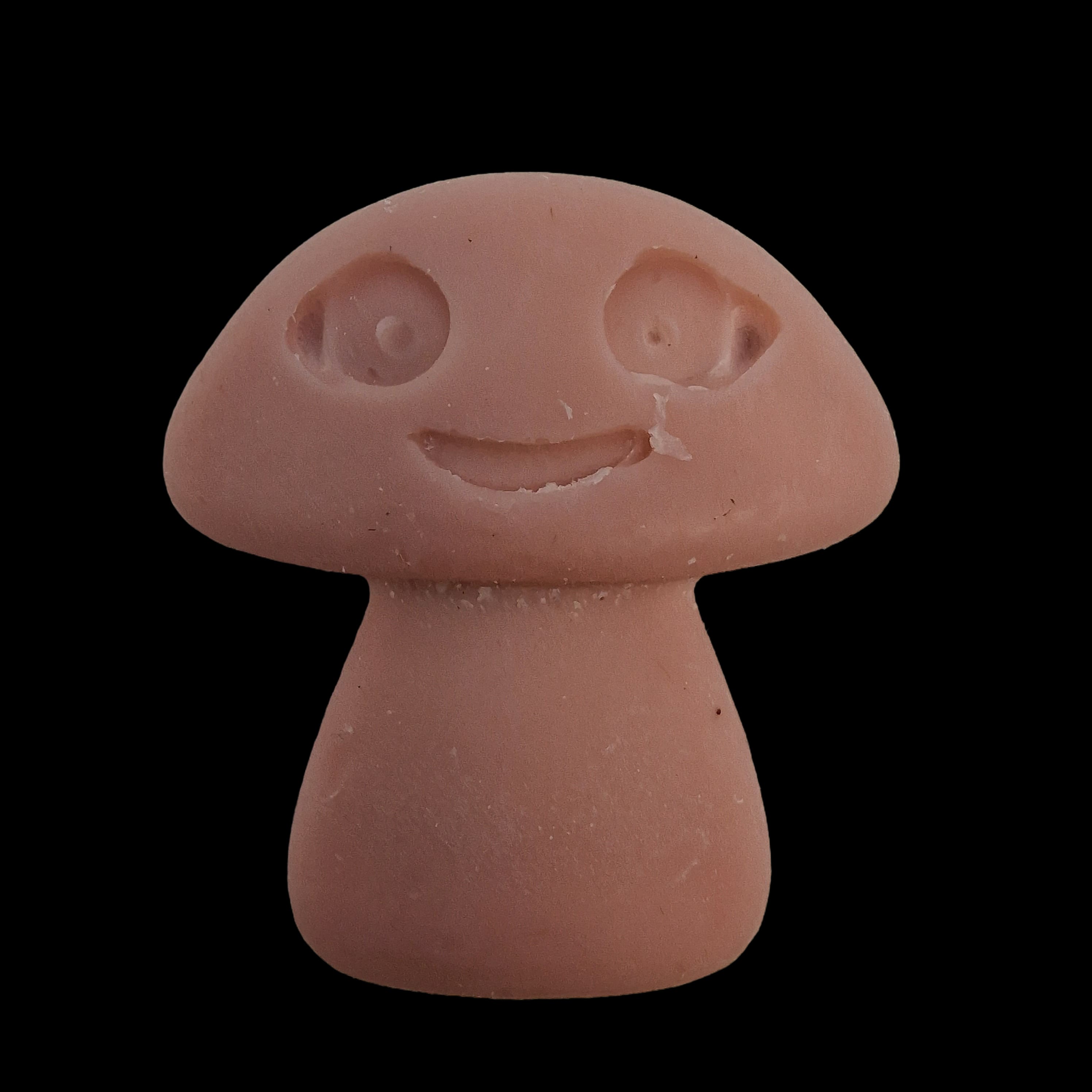 Wax Melts Soy Coffee Trader Home Fragrance Mushroom Shaped