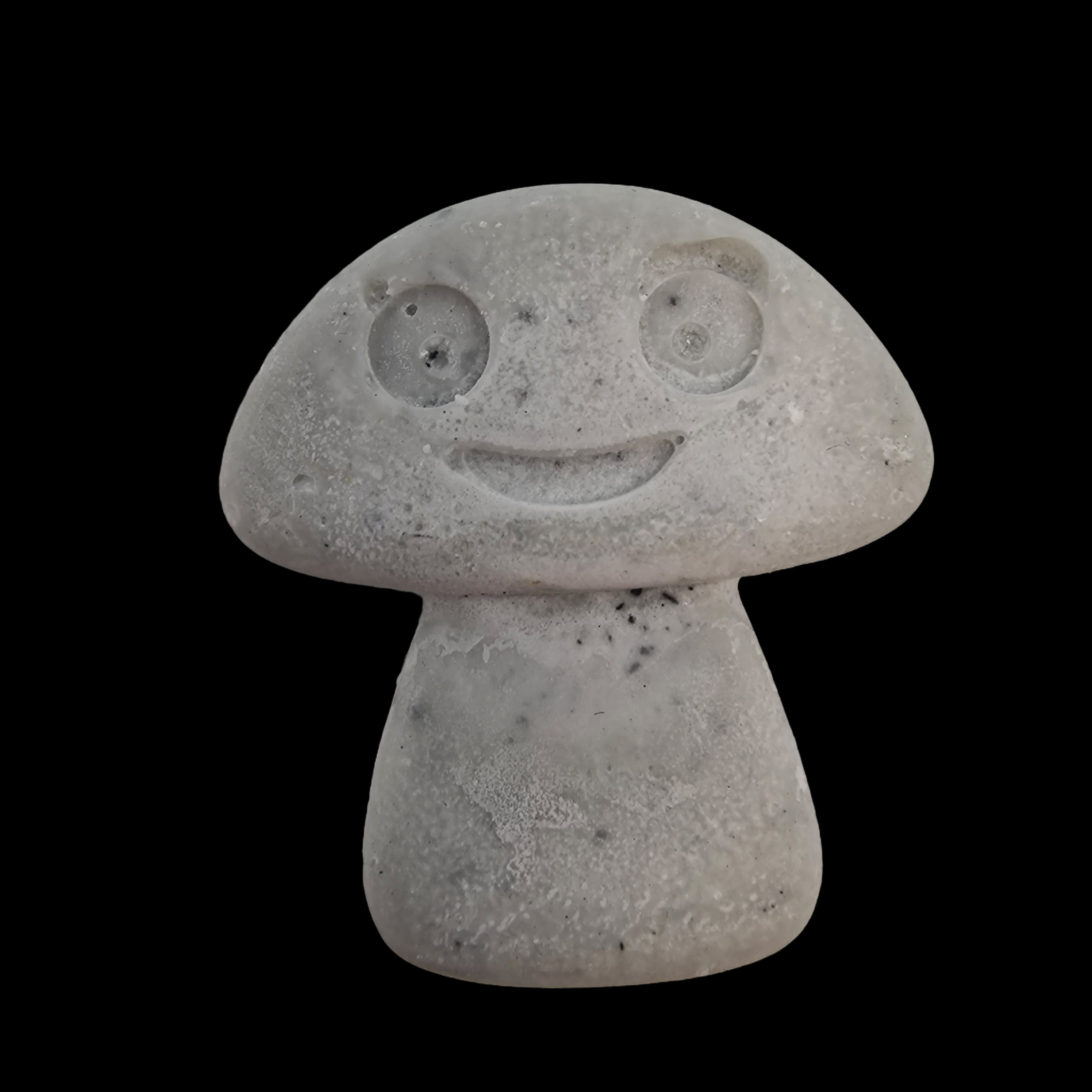 Wax Melts Soy Dark Patchouli Home Fragrance Mushroom Shaped