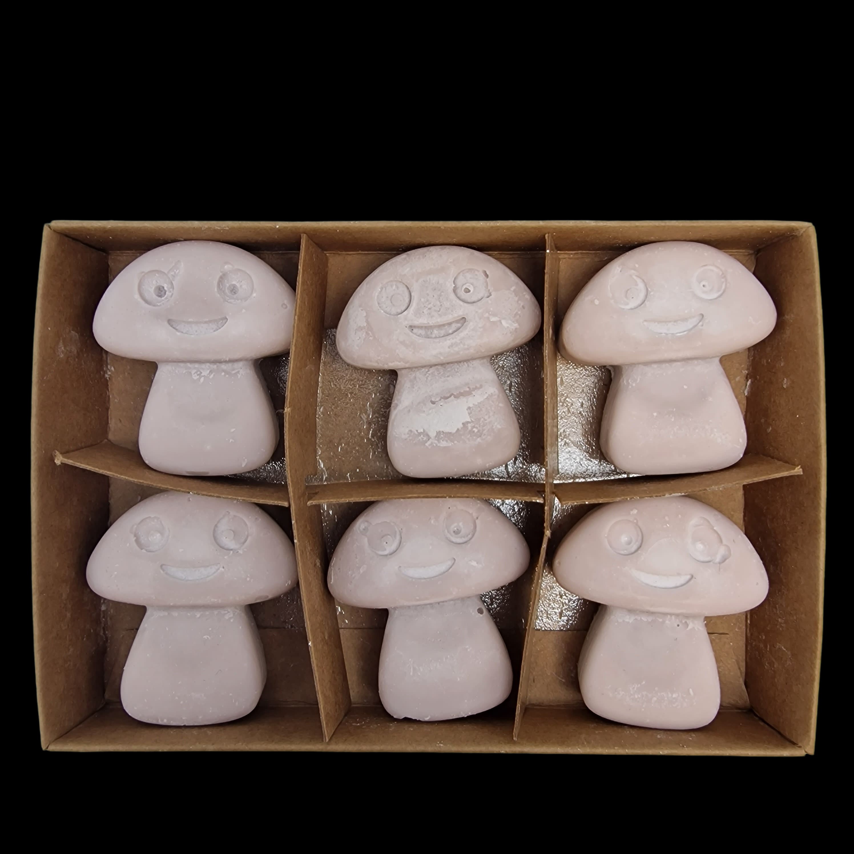 Wax Melts Soy Dark Sandlewood Home Fragrance Mushroom