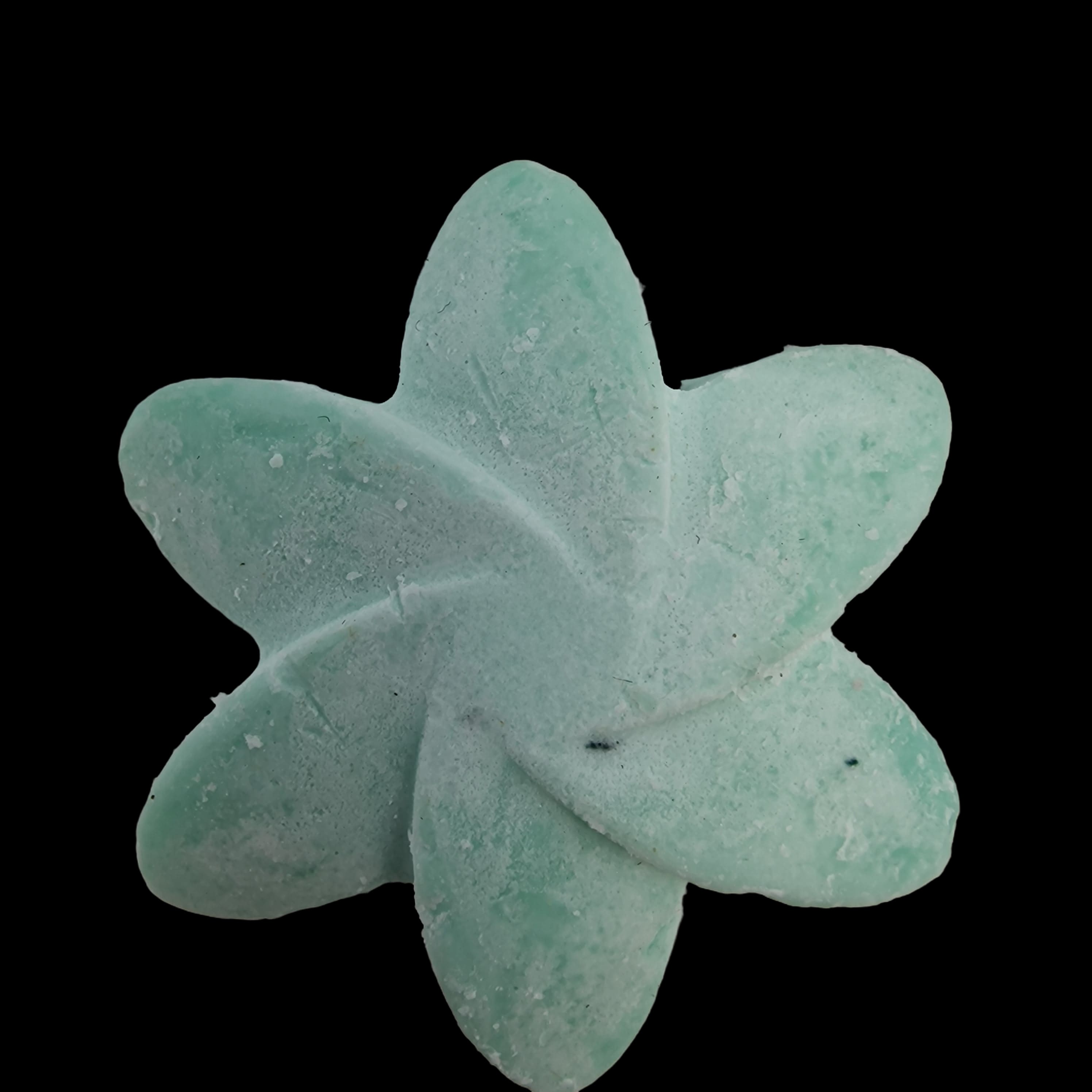 Wax Melts Soy Hidden Garden Home Fragrance Flower Shaped