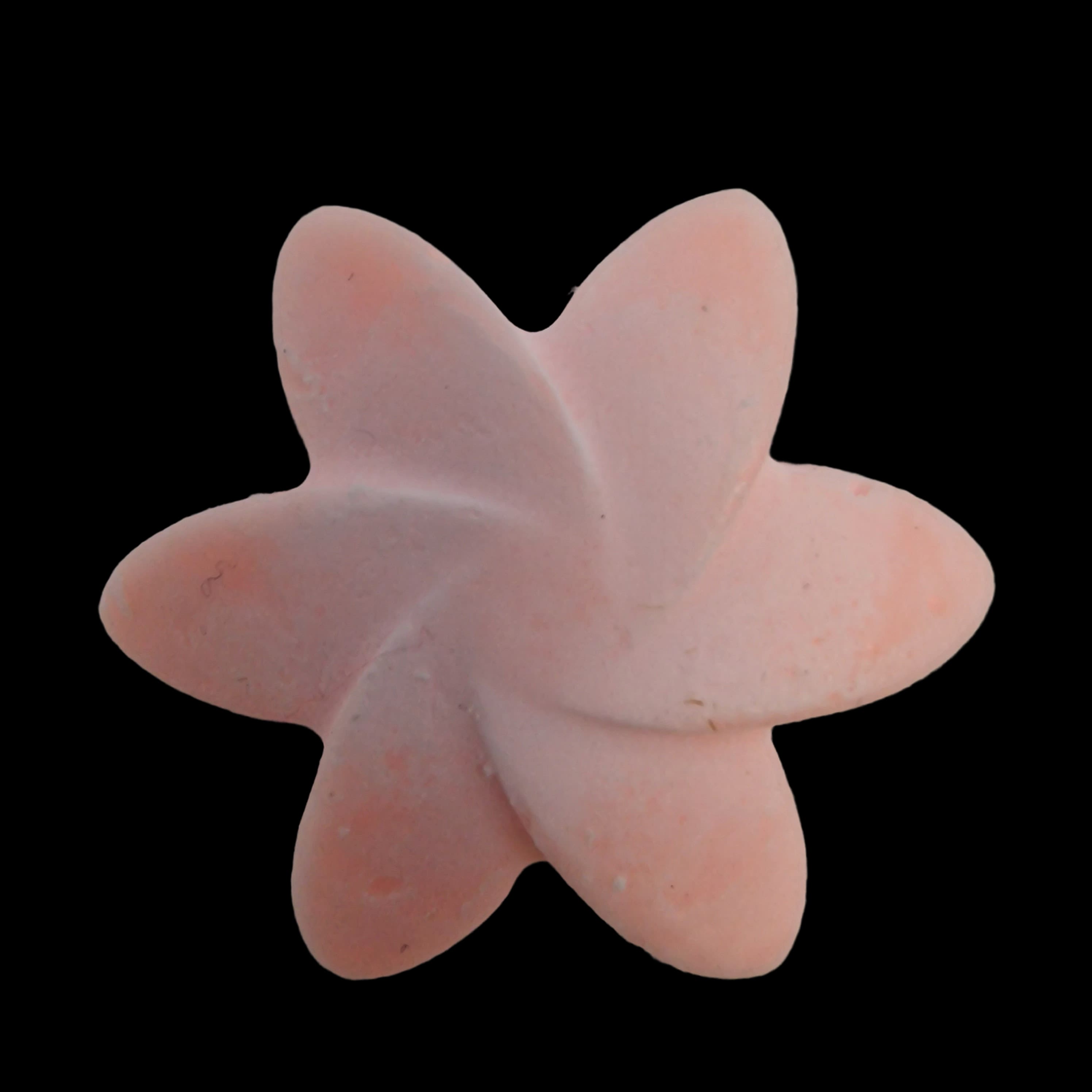 Wax Melts Soy Japanese Magnolia Home Fragrance Flower