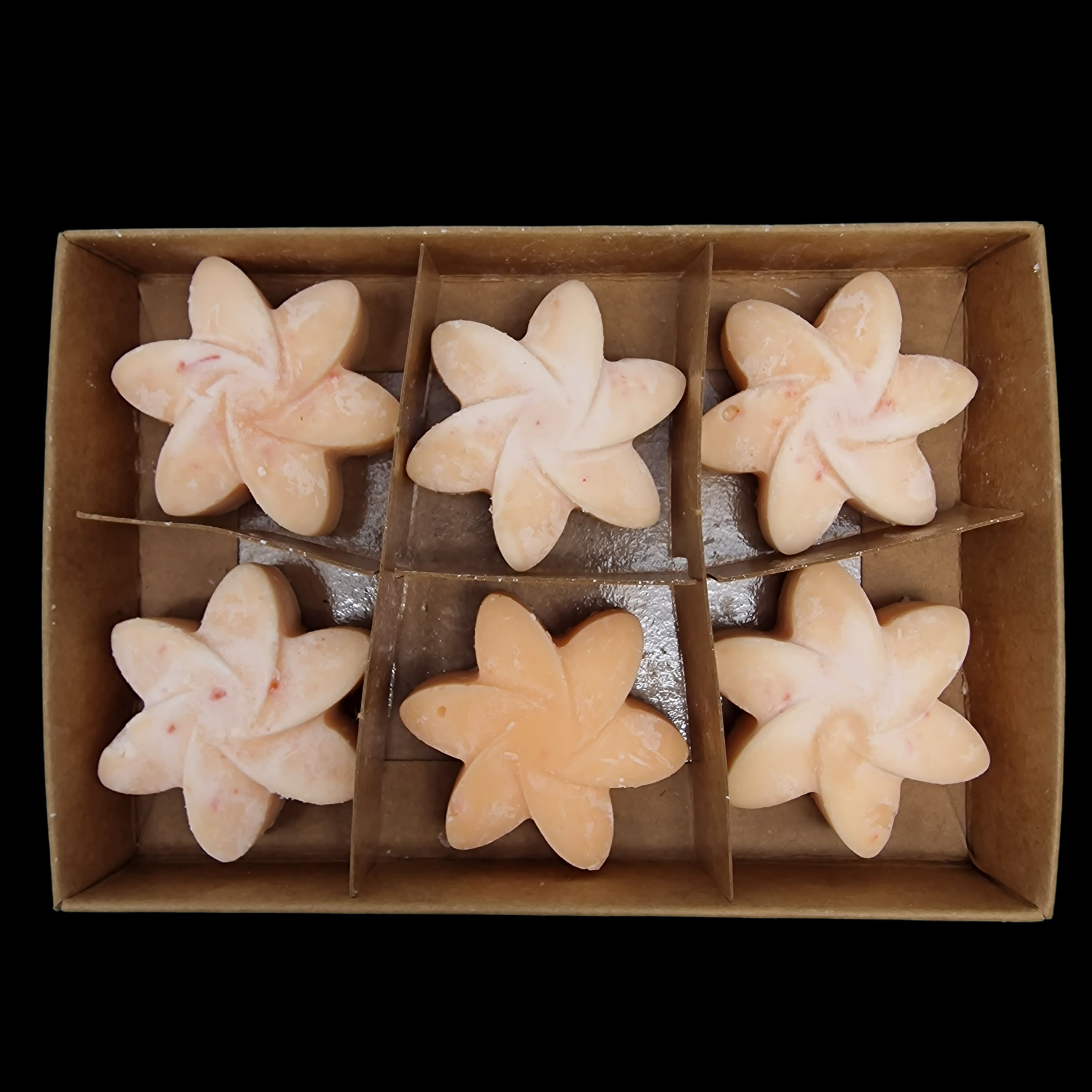 Wax Melts Soy Mango Fruits Home Fragrance Flower Shaped