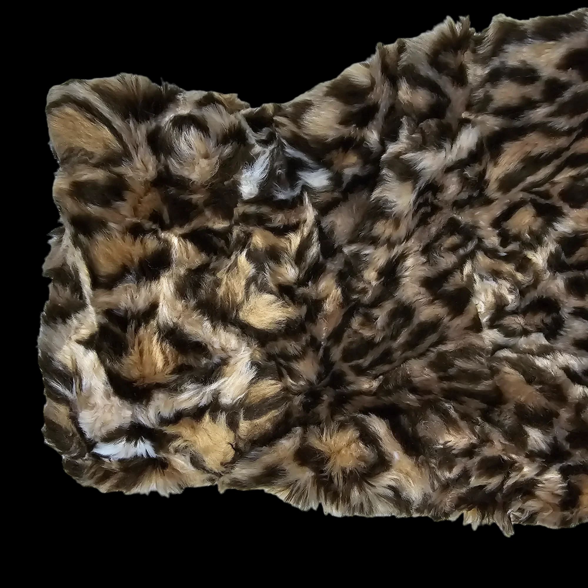 Womens Cristin By Fashion Black Brown Animal Print Jacket