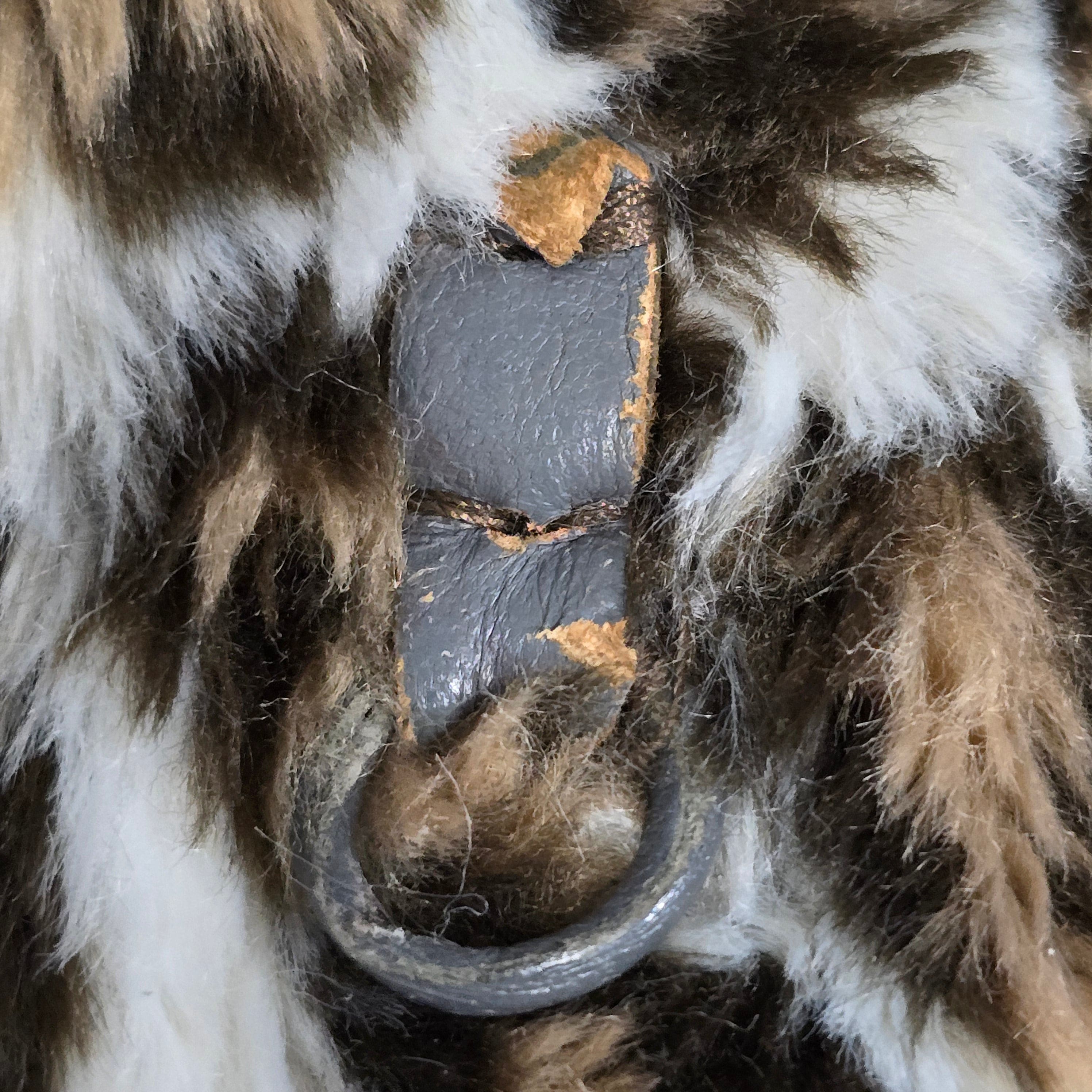 Womens Cristin By Fashion Black Brown Animal Print Jacket