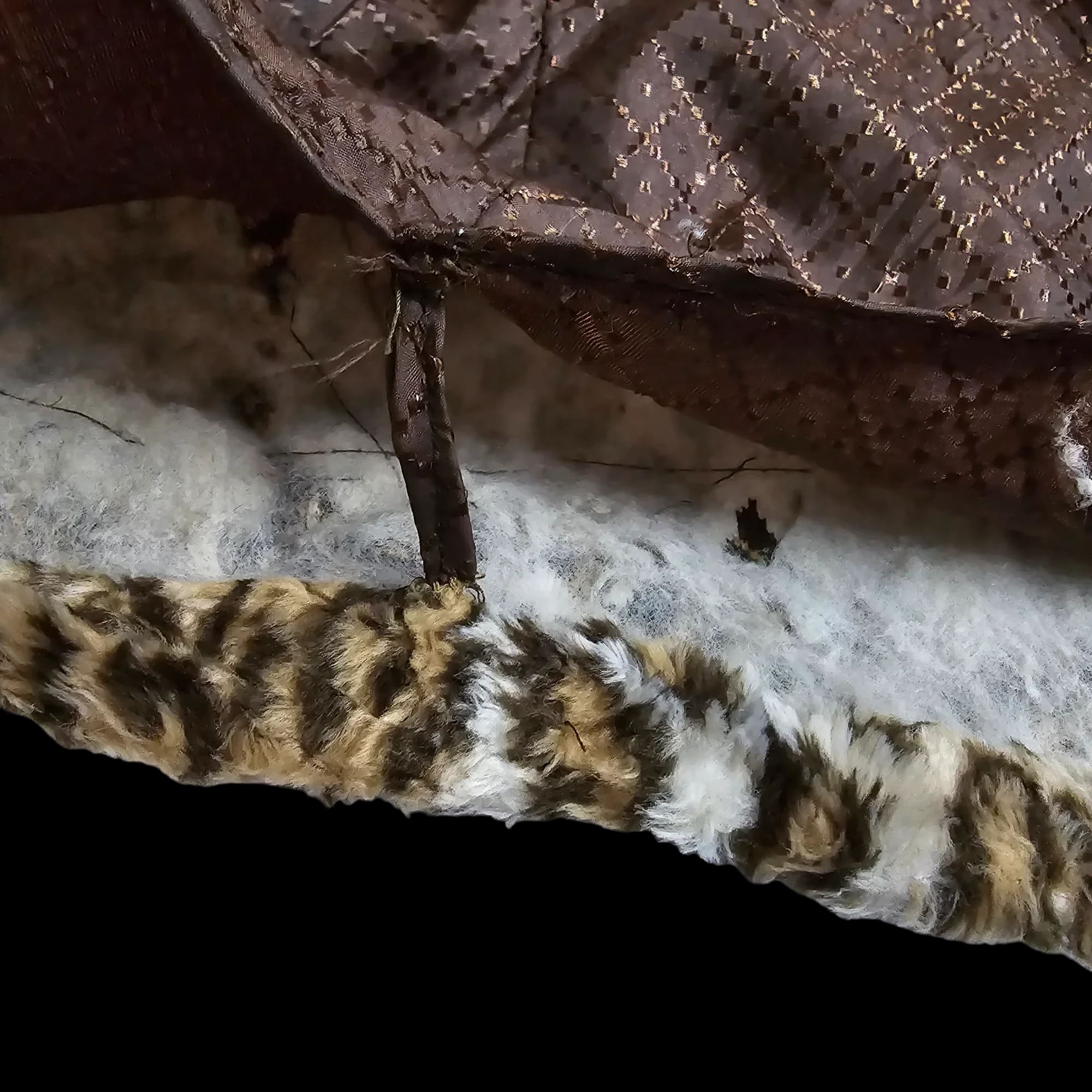 Womens Cristin By Fashion Black Brown Animal Print Jacket