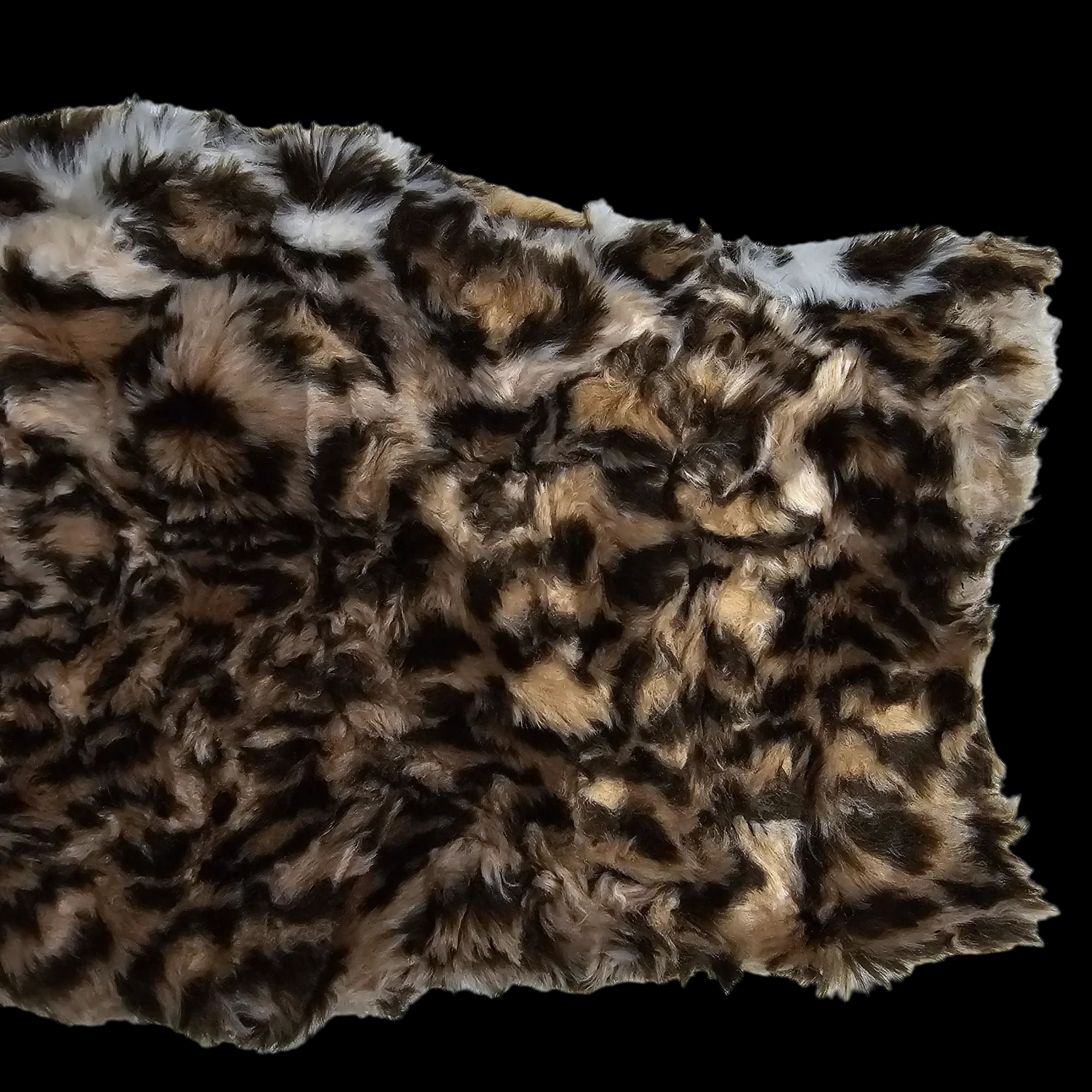 Womens Cristin By Fashion Black Brown Animal Print Jacket